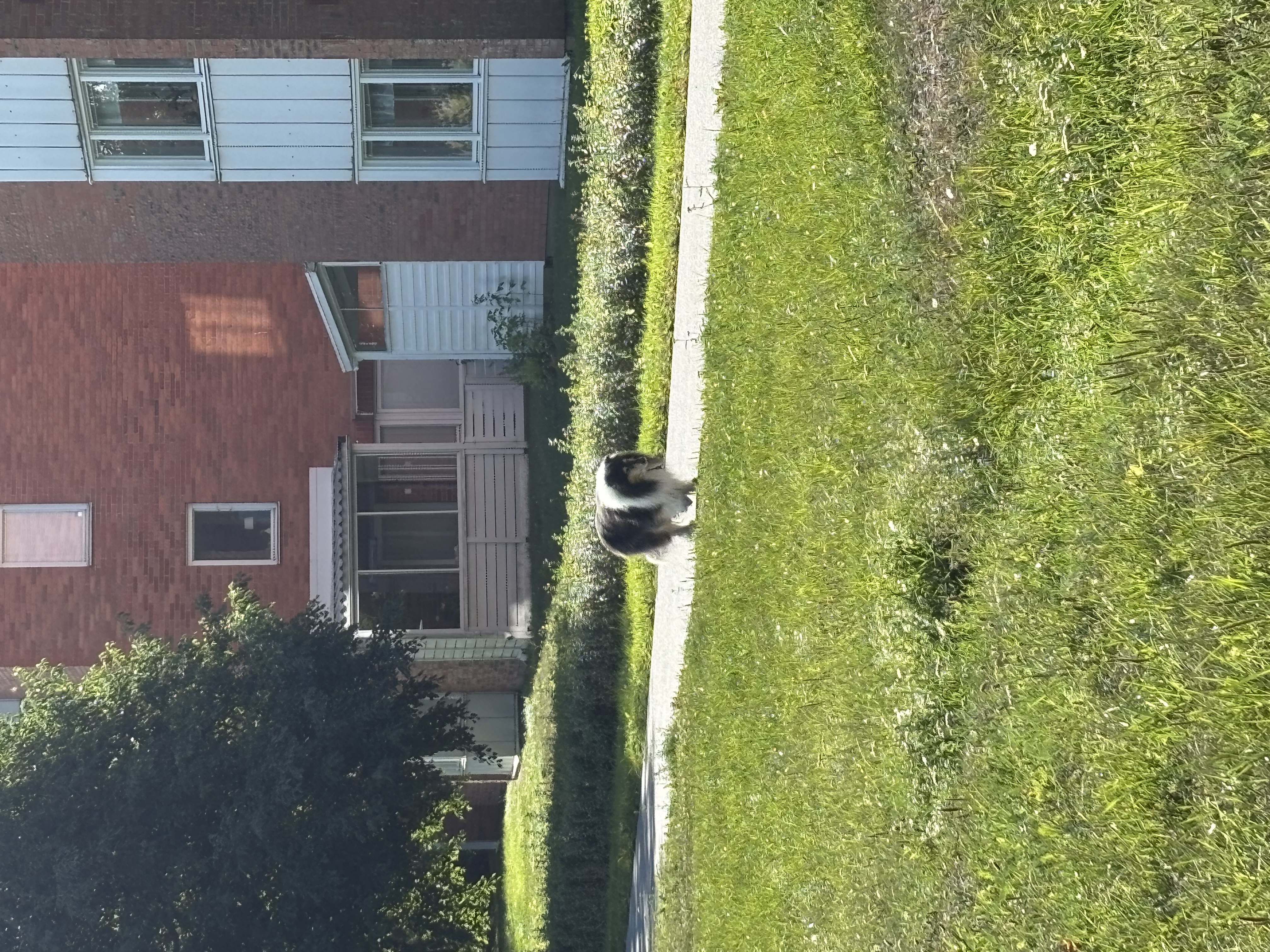 image-19