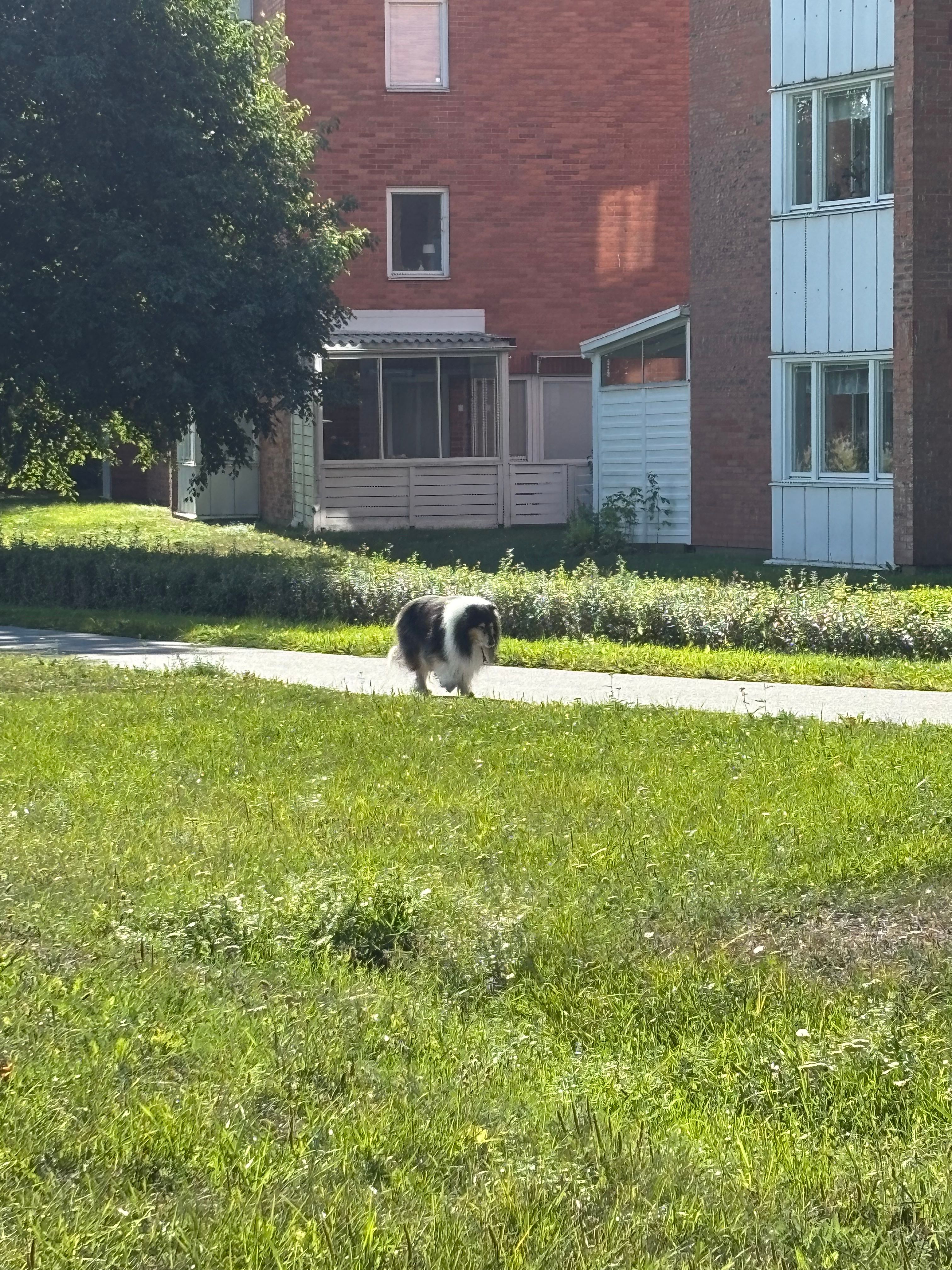 image-19