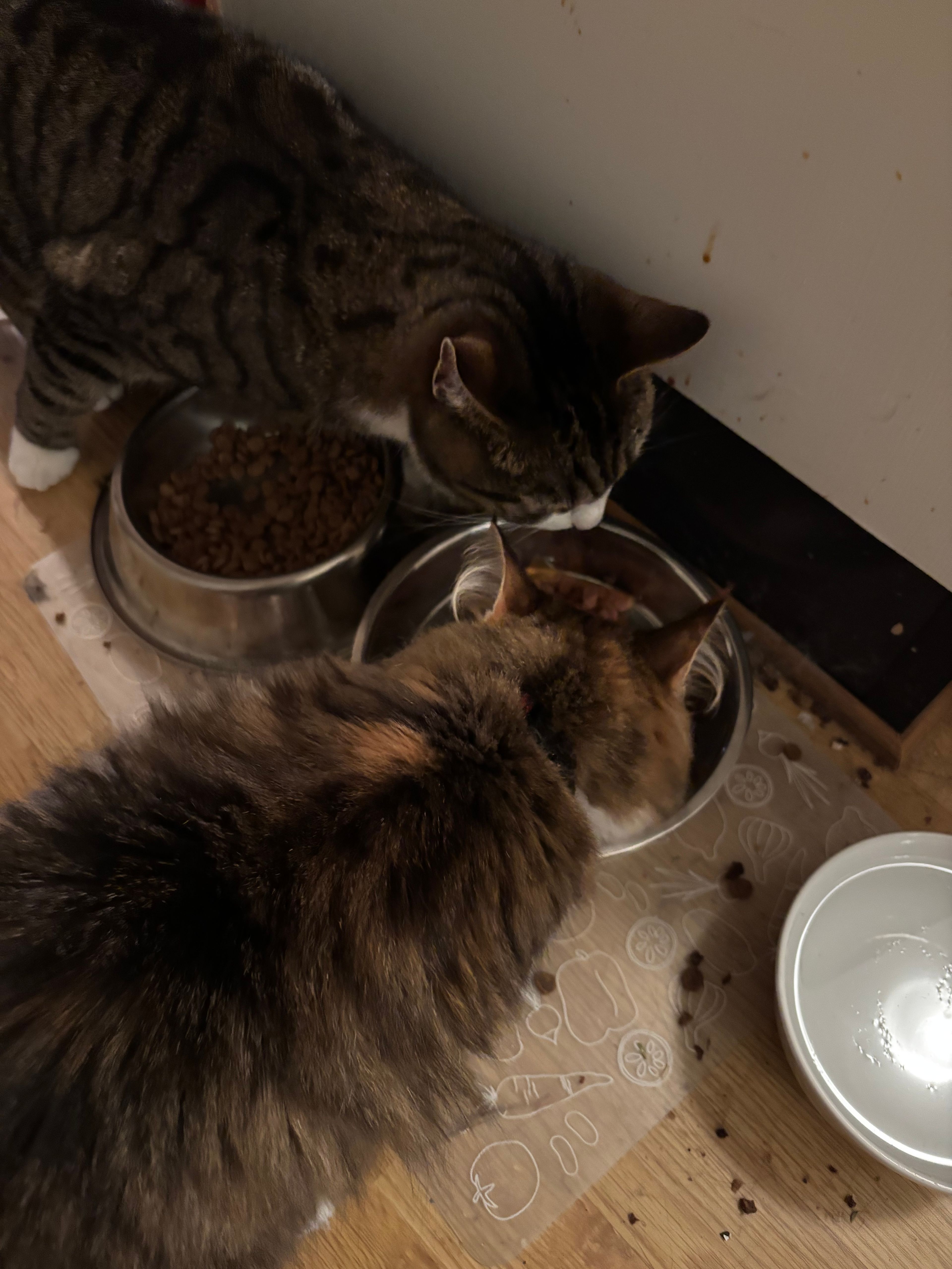 image-13
