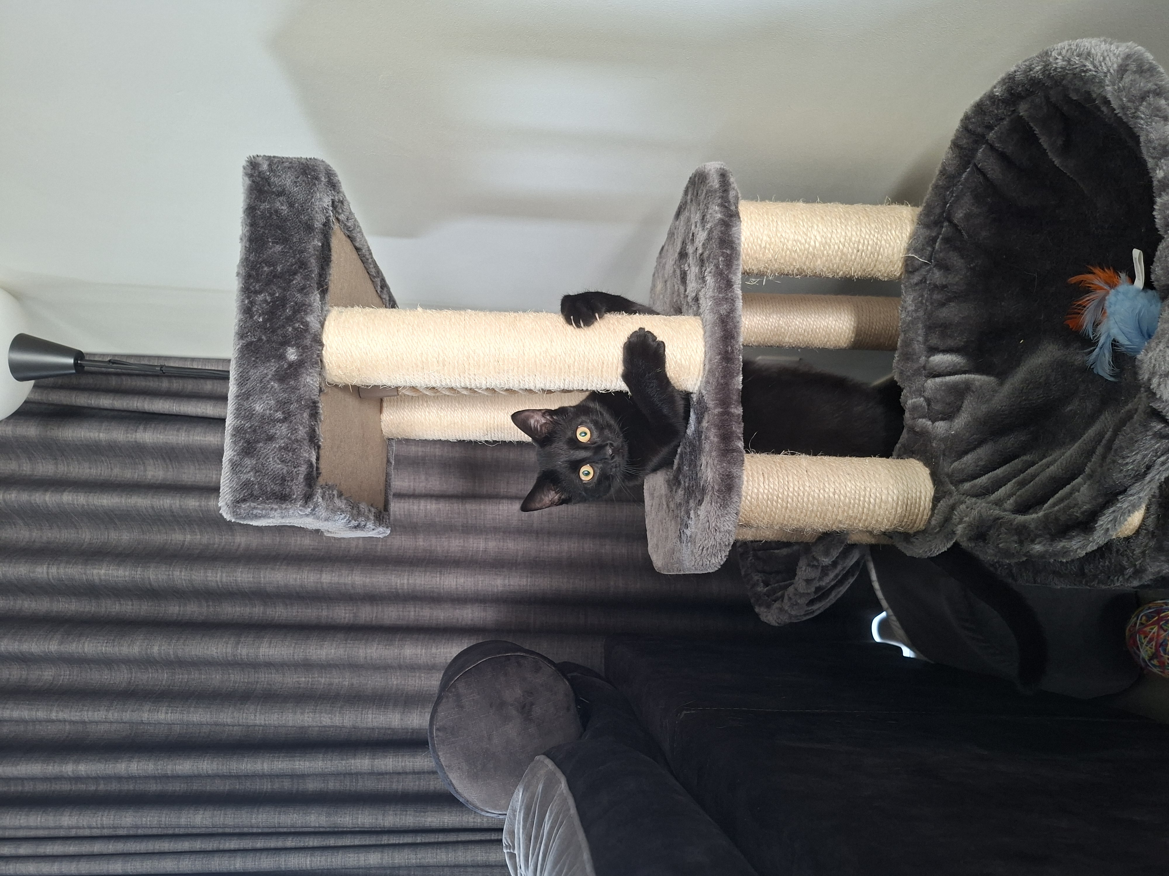 image-8