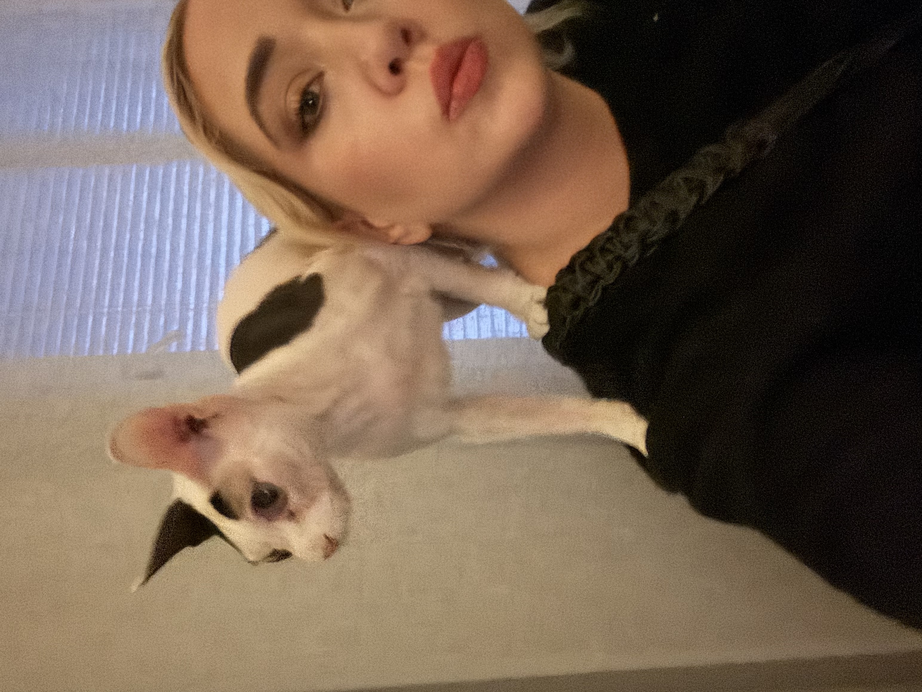 image-6