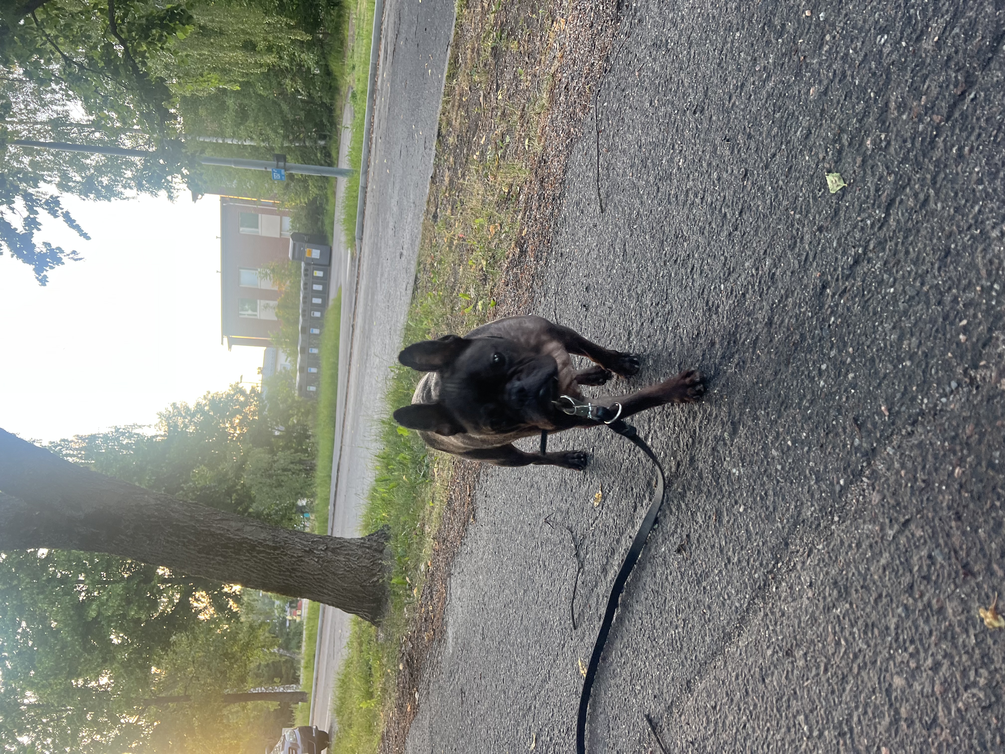 image-3