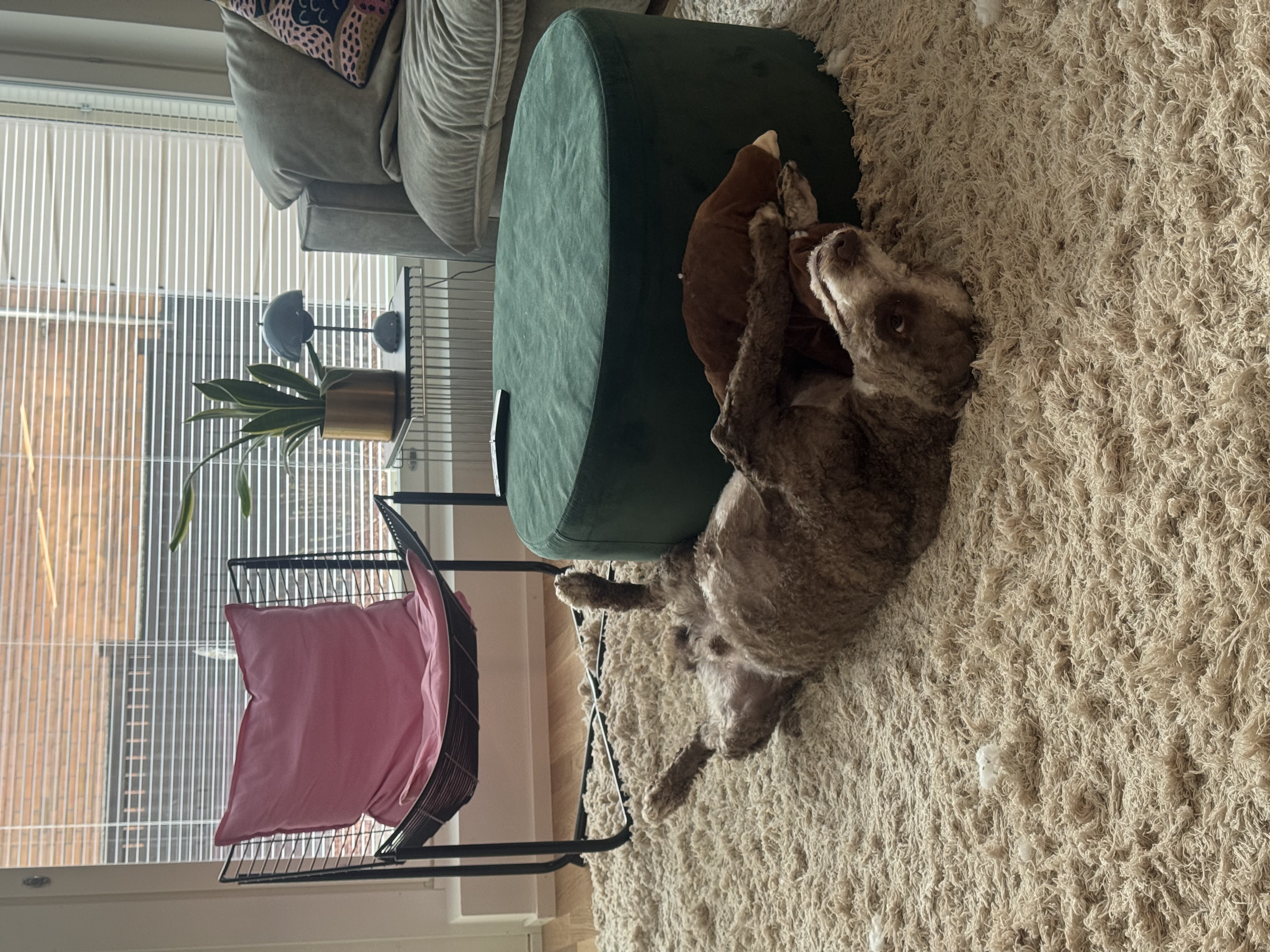 image-5