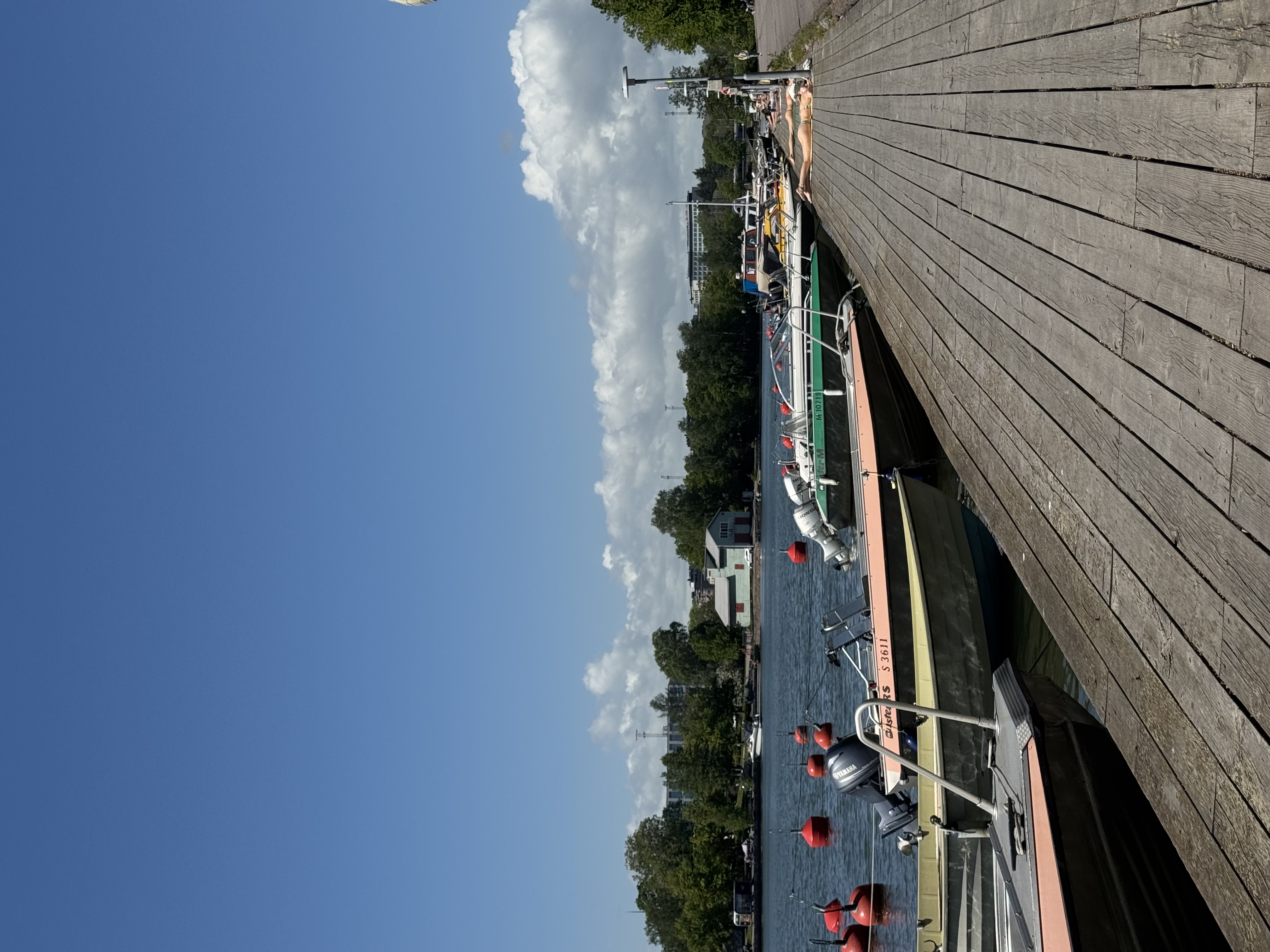 image-15