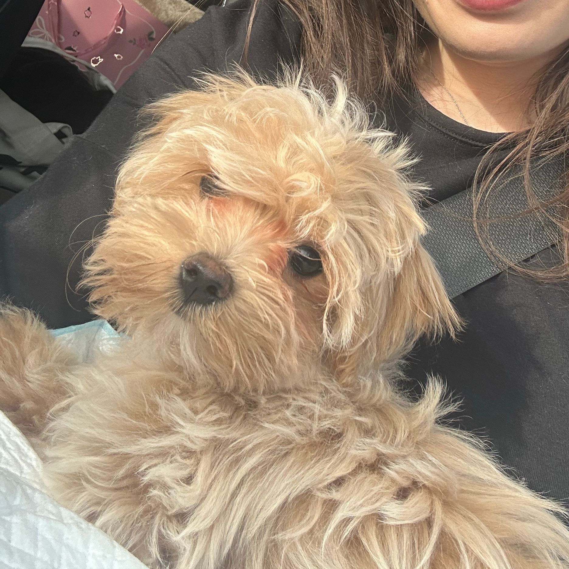Mia