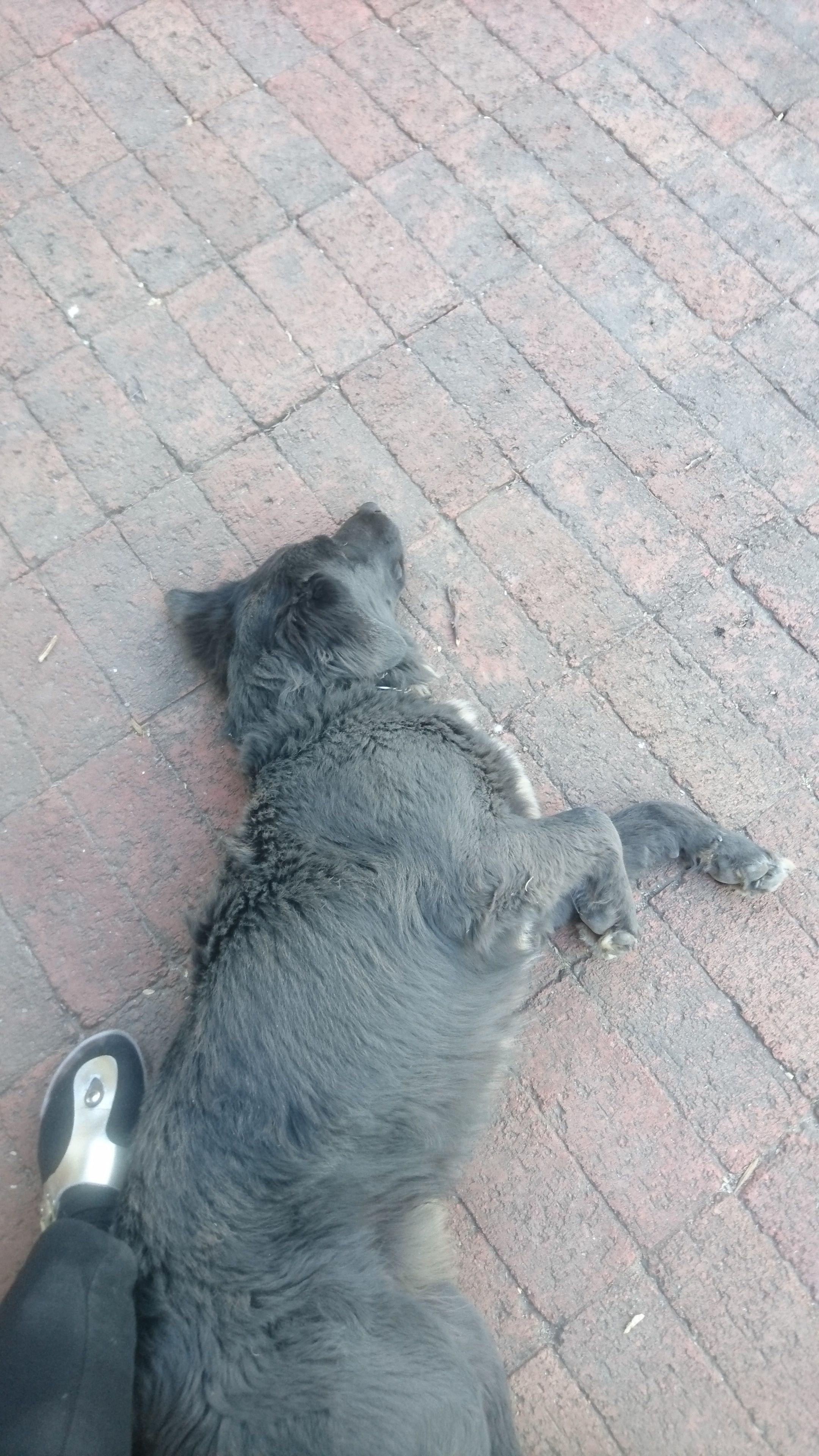image-6