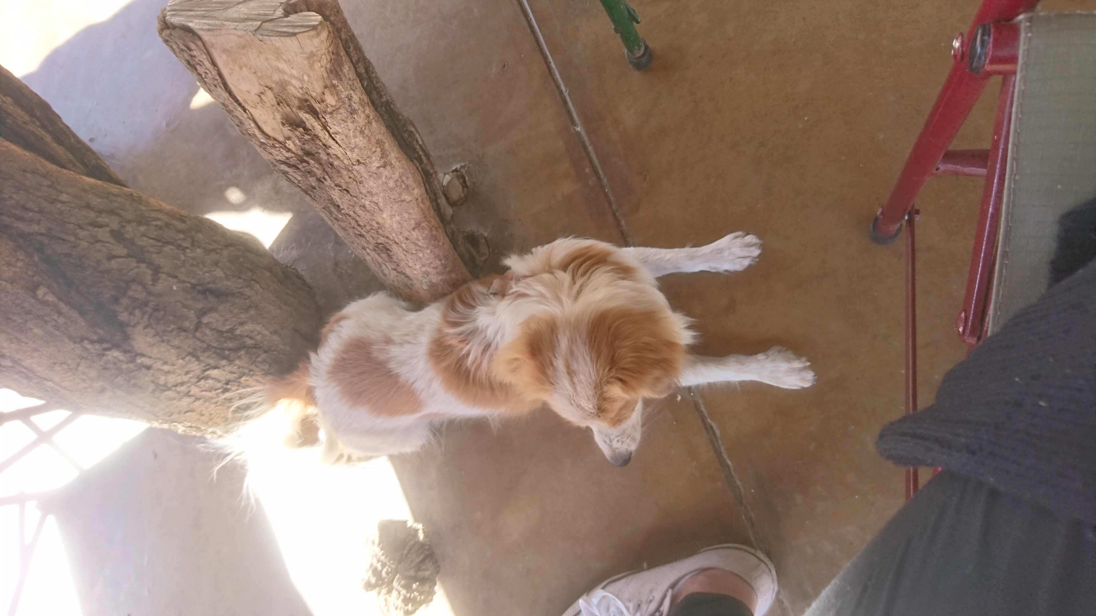 image-7