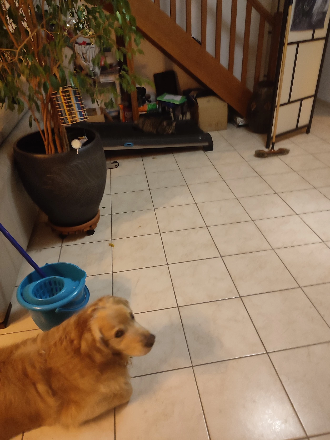 image-18