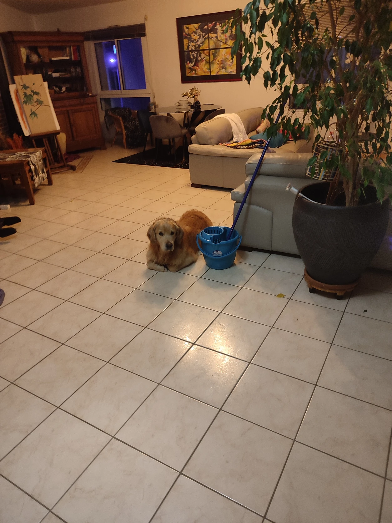 image-17