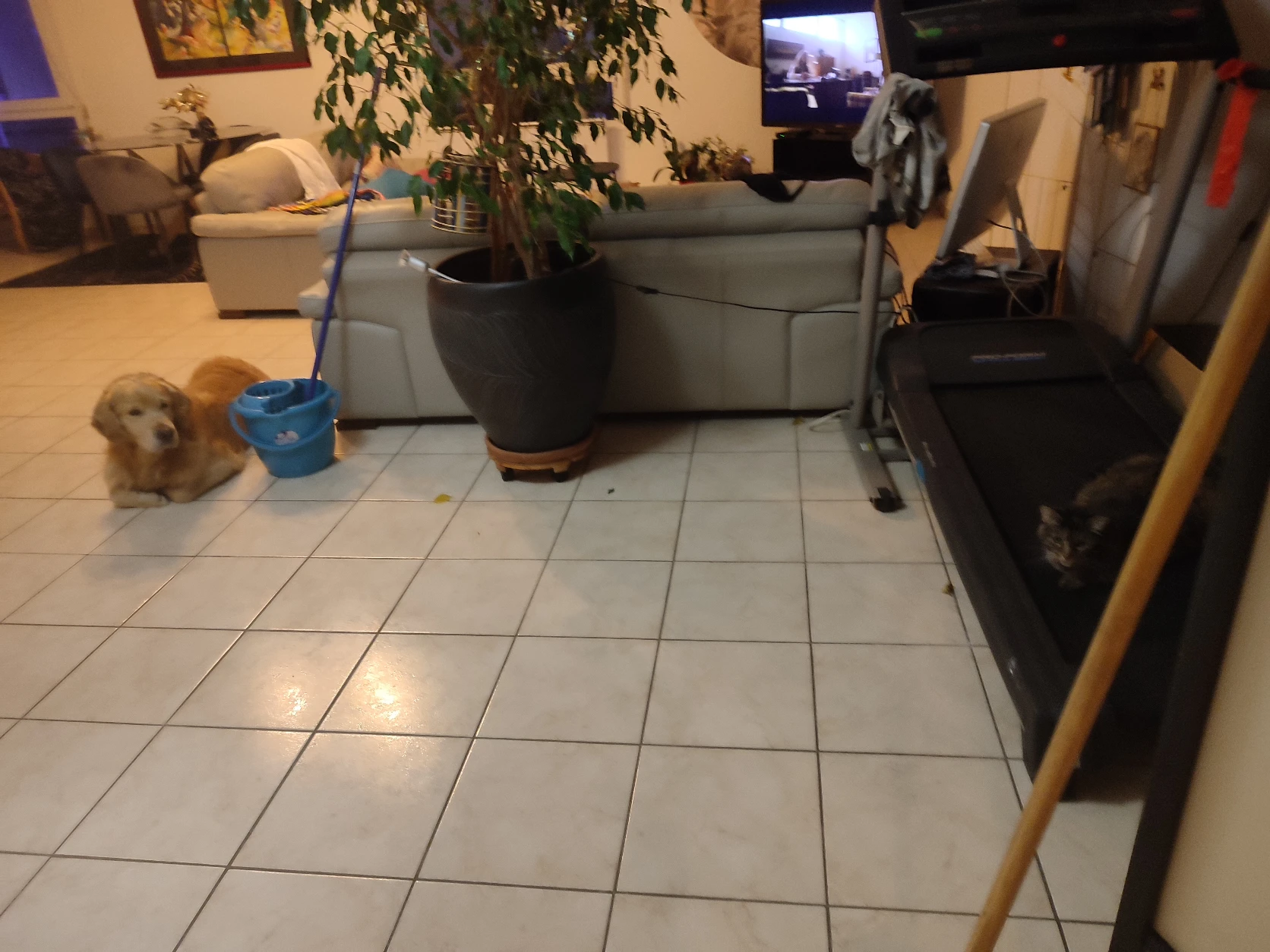 image-20