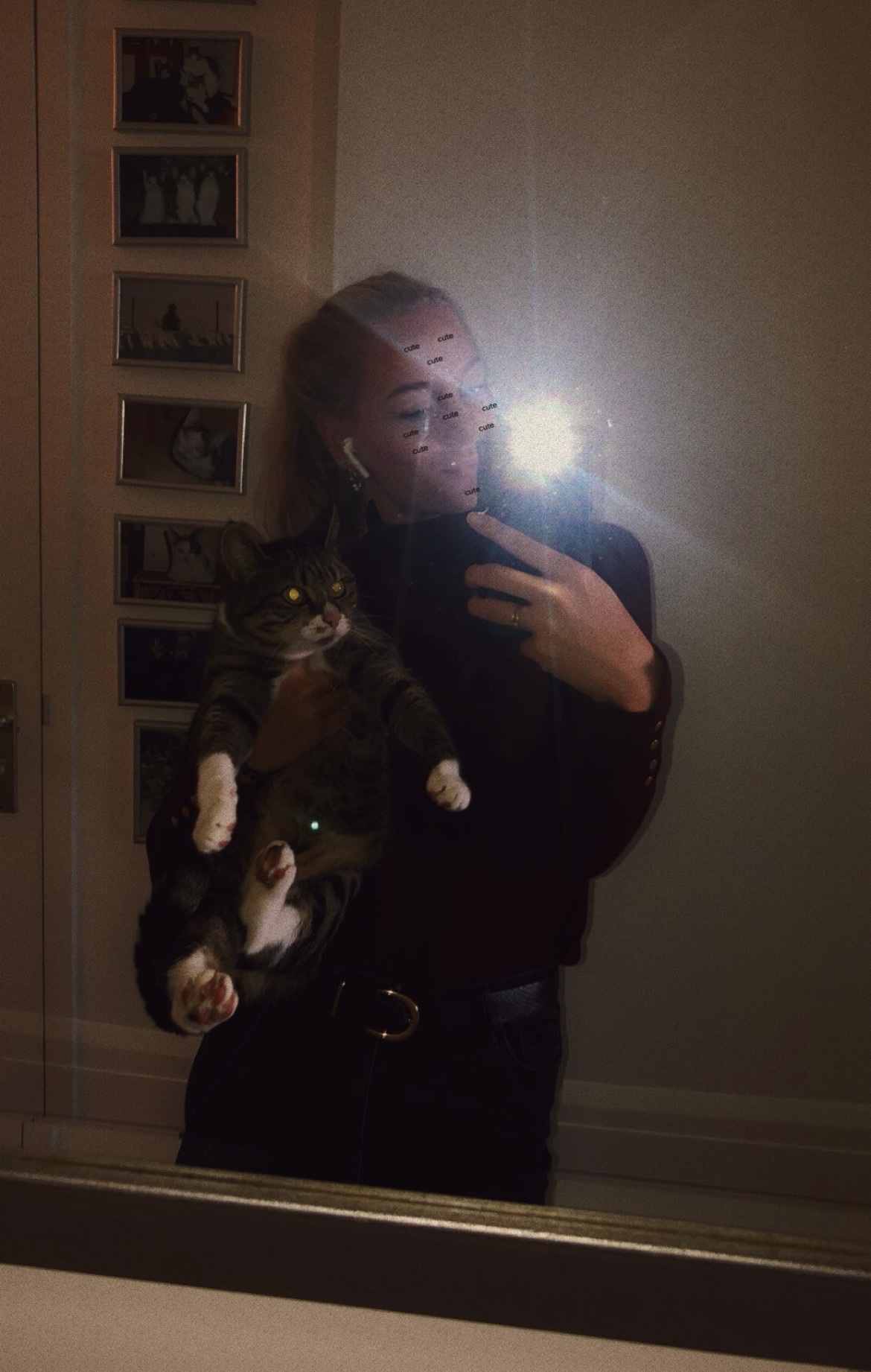 image-6