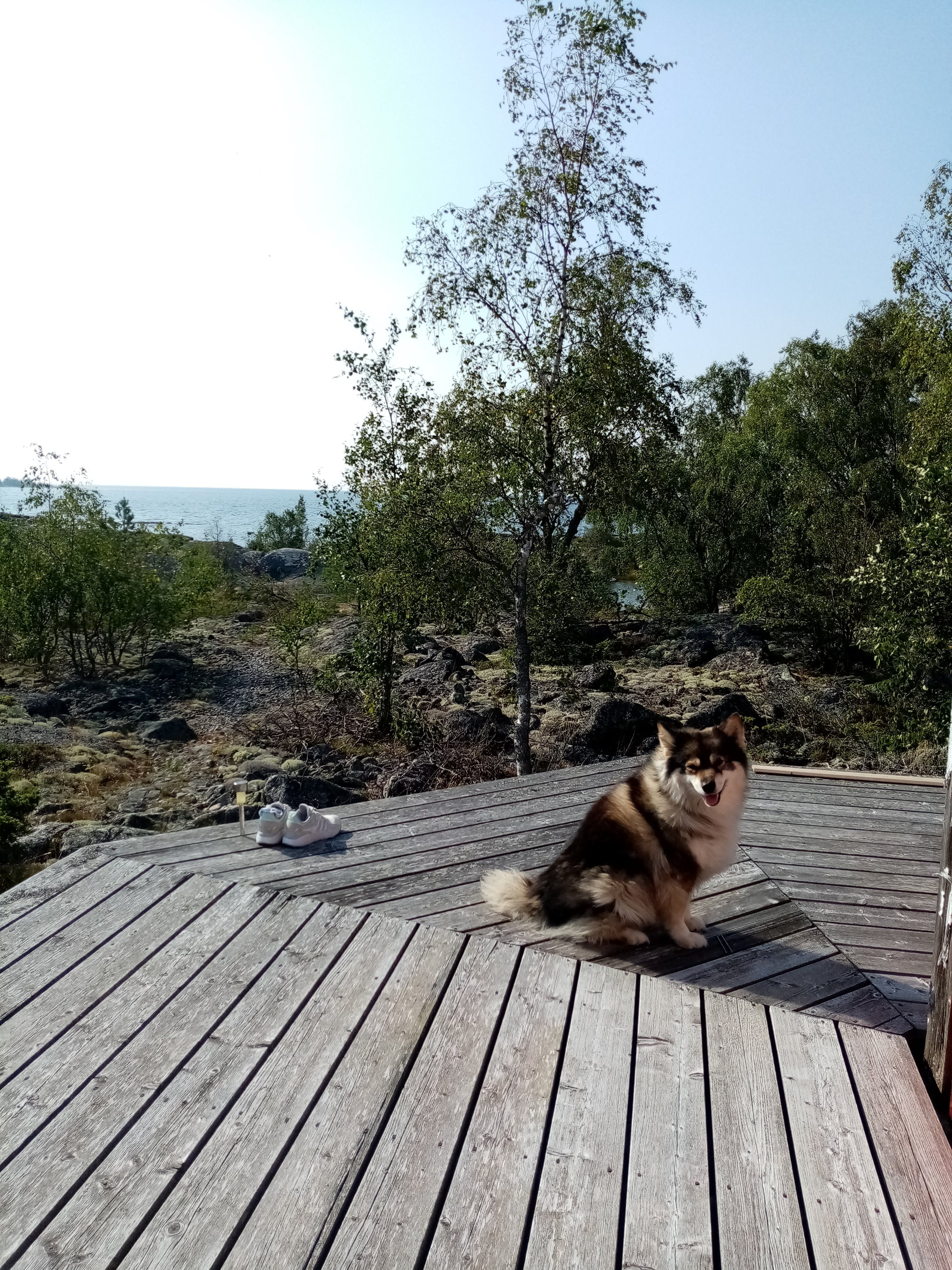 image-4