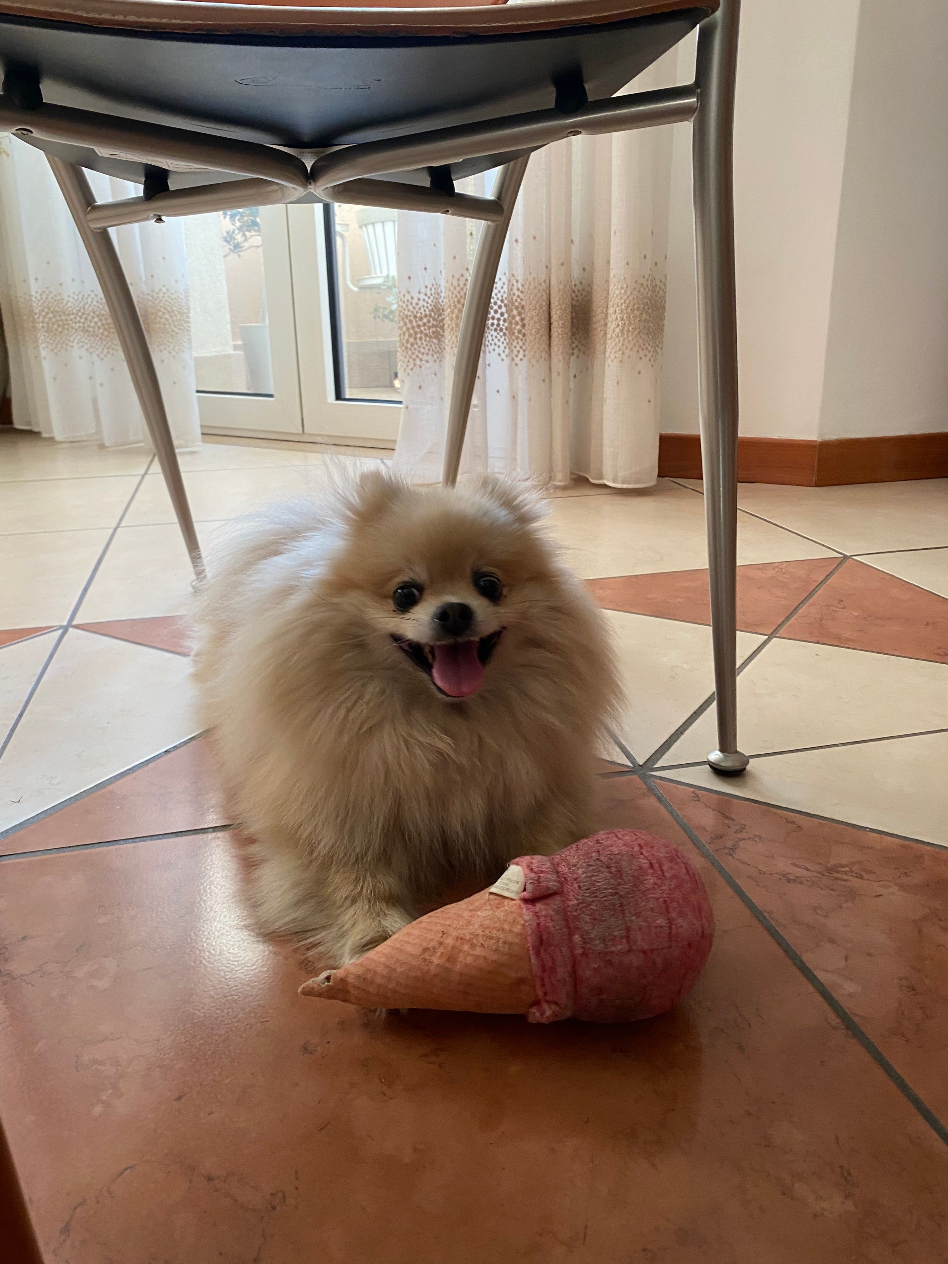 image-11