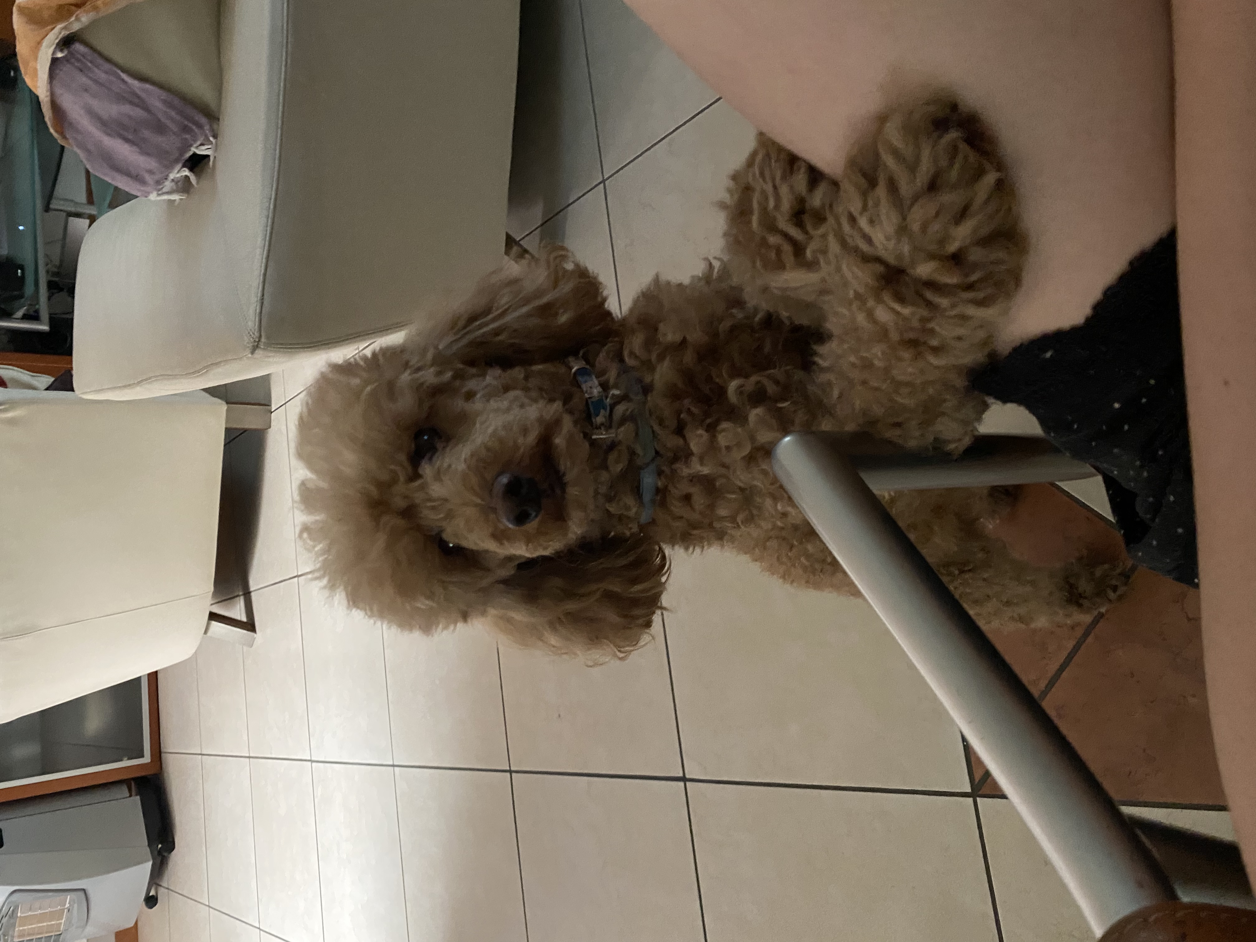 image-7