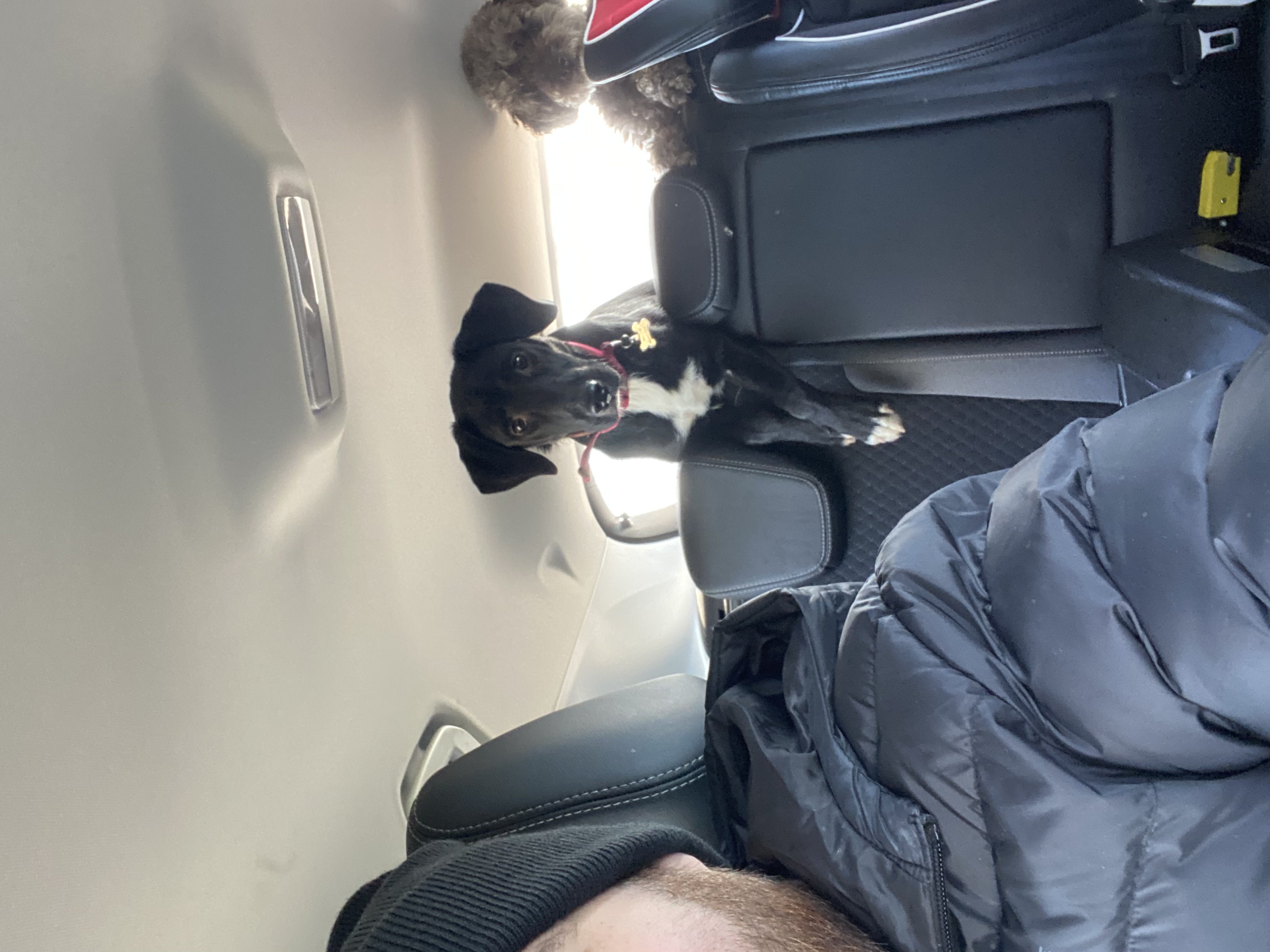 image-7