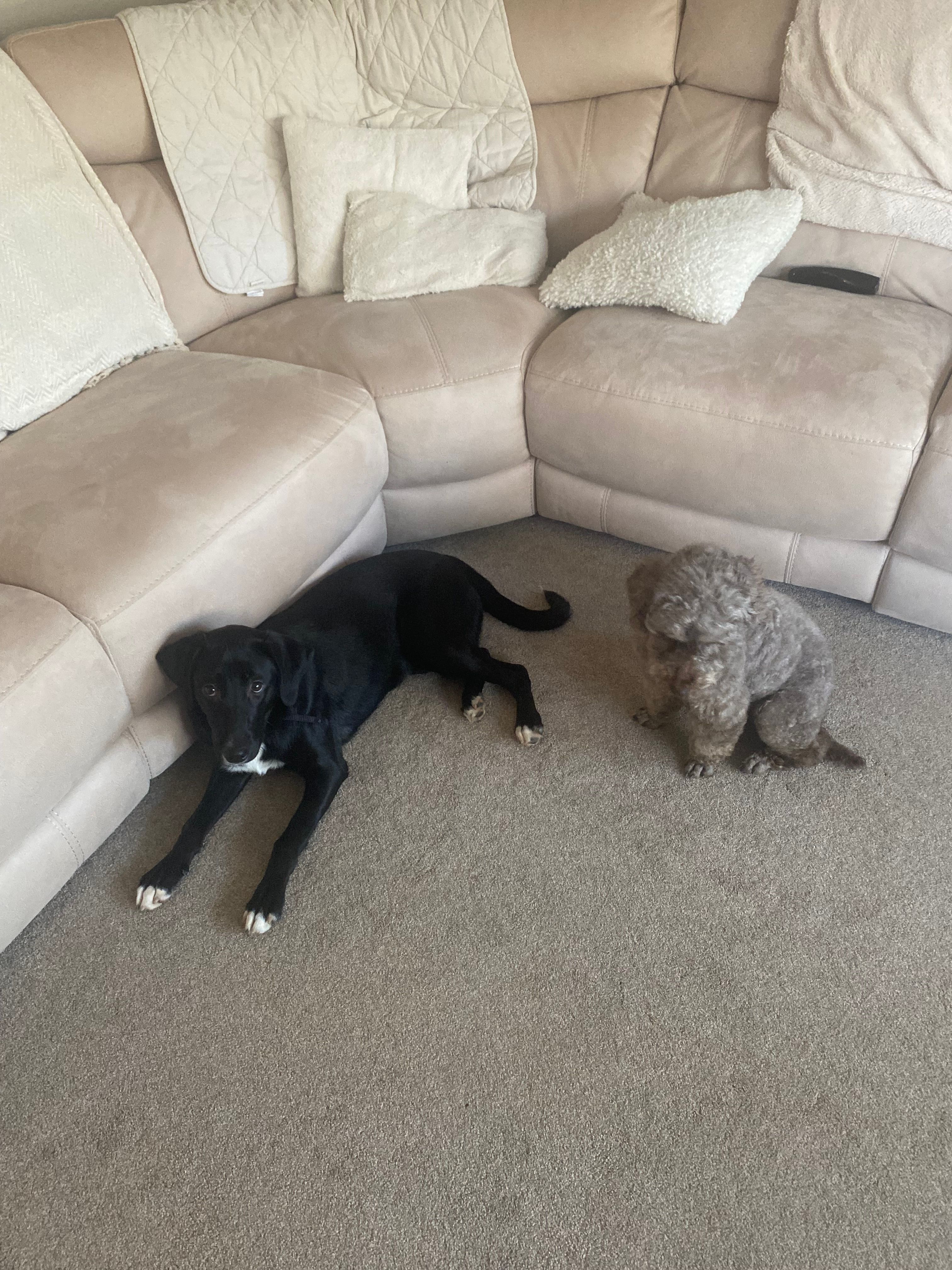 image-31