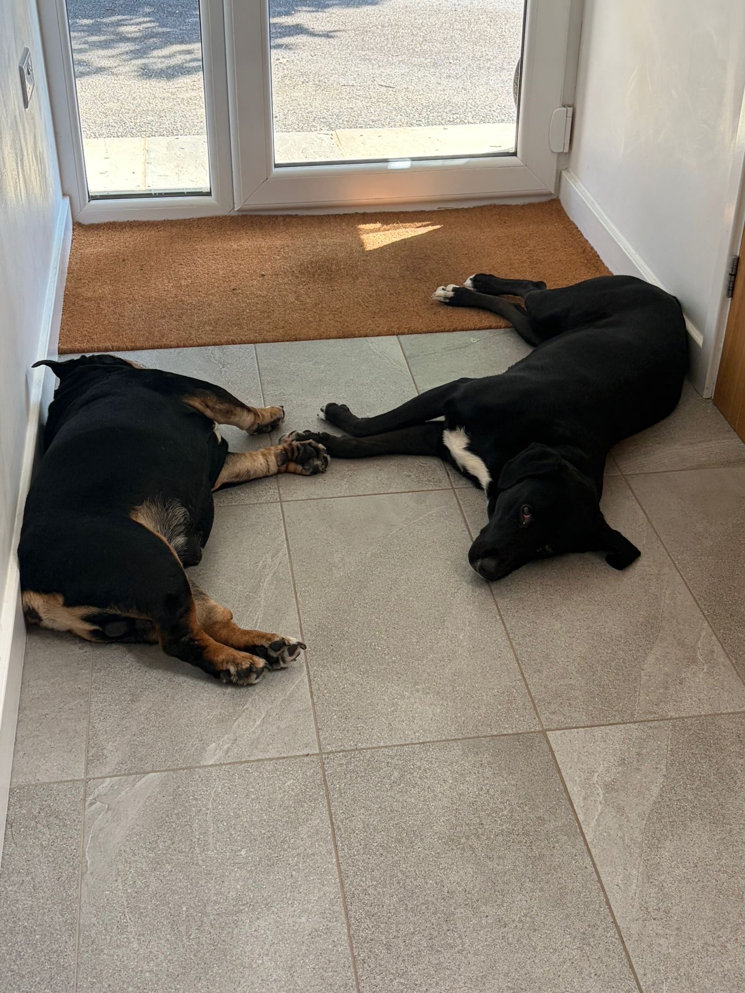 image-28