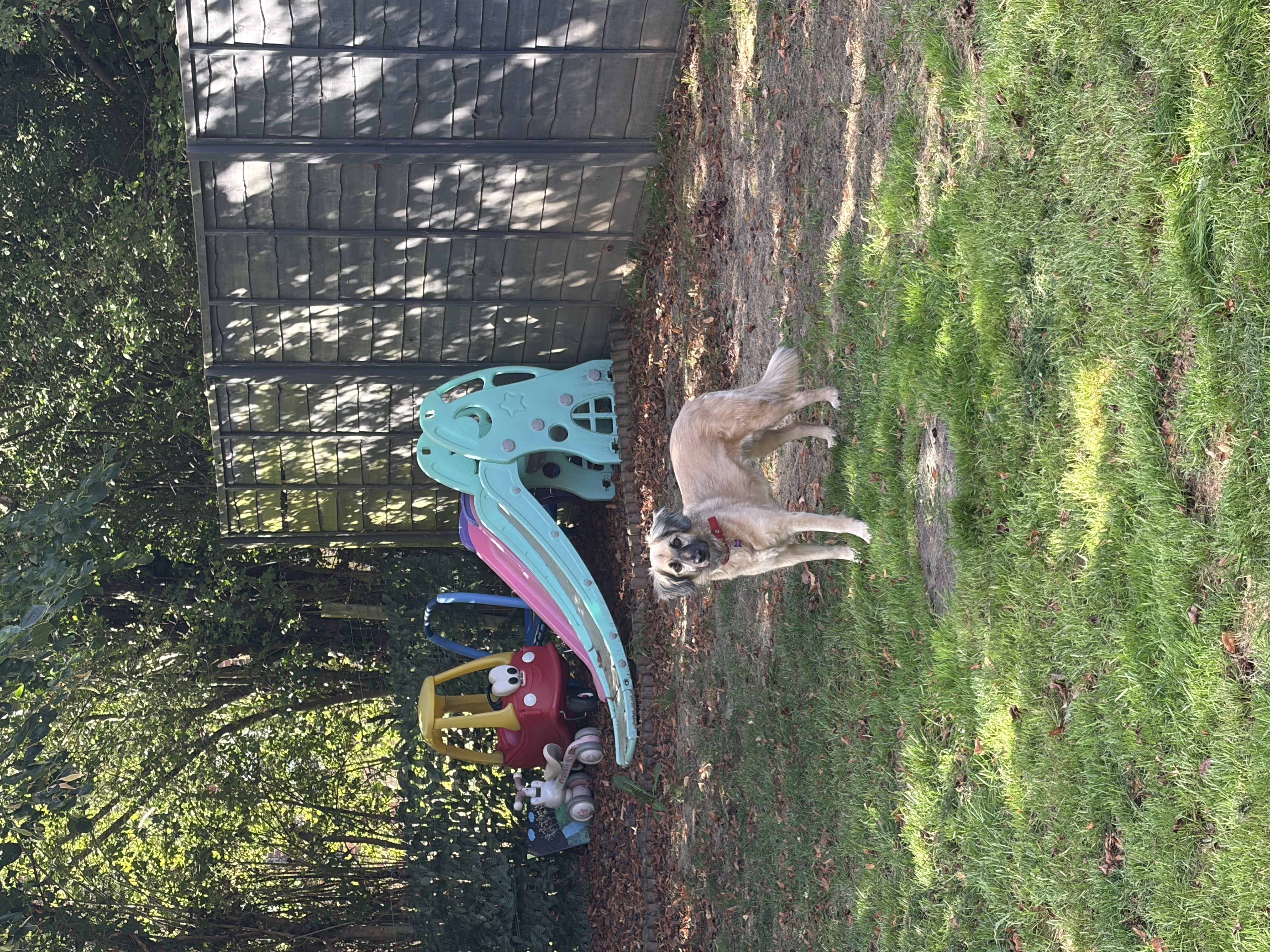 image-41
