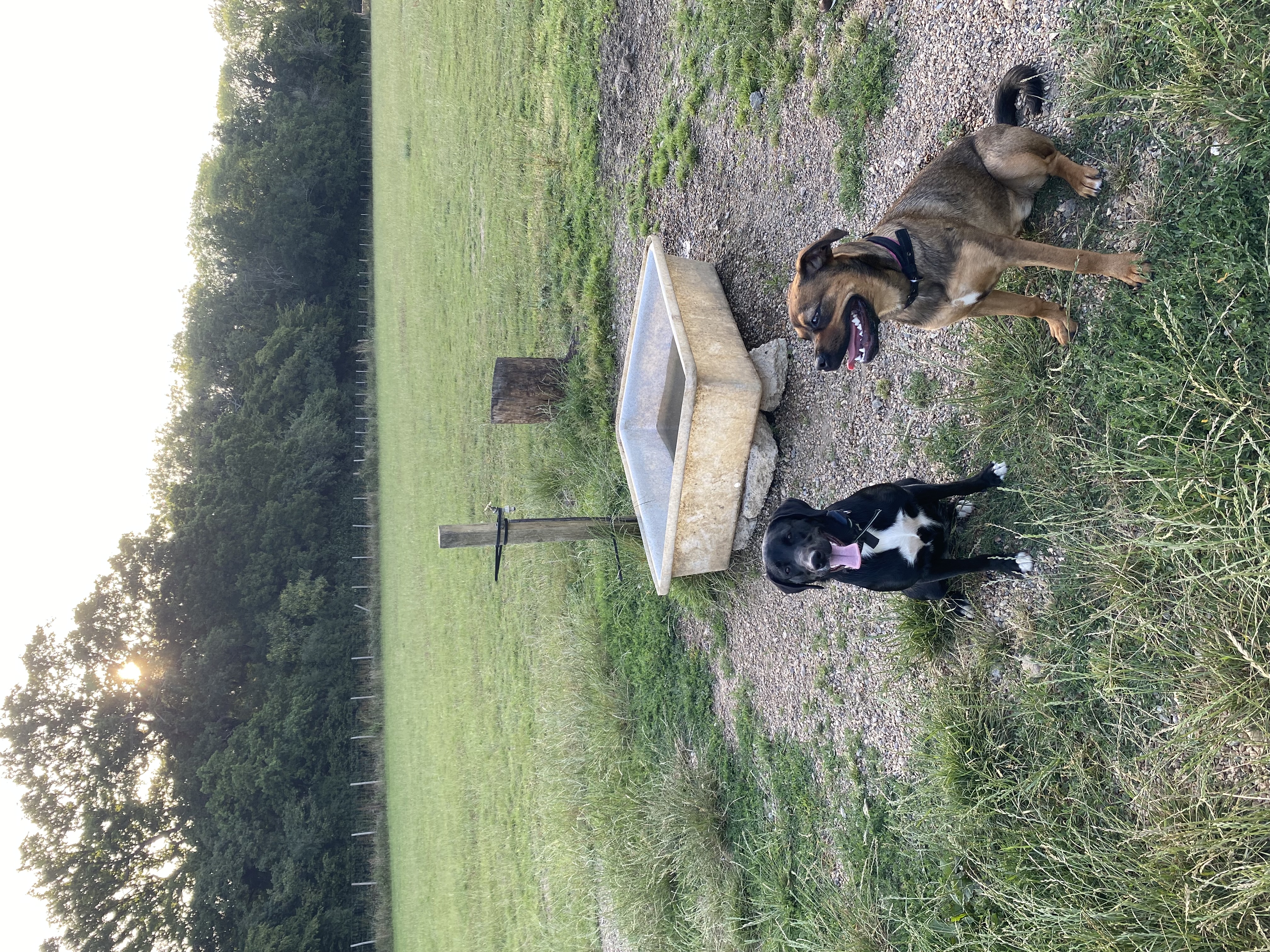image-4