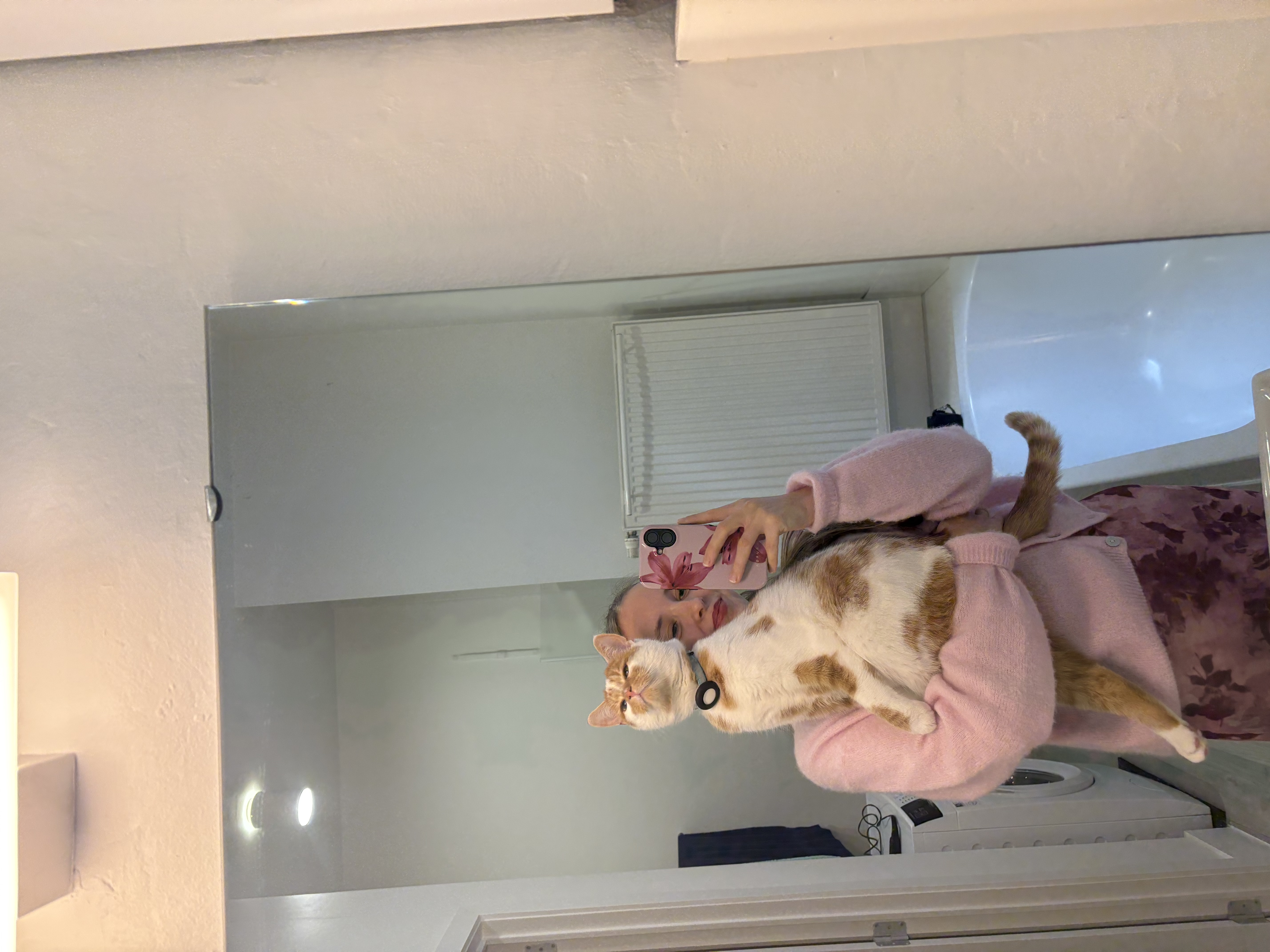 image-3