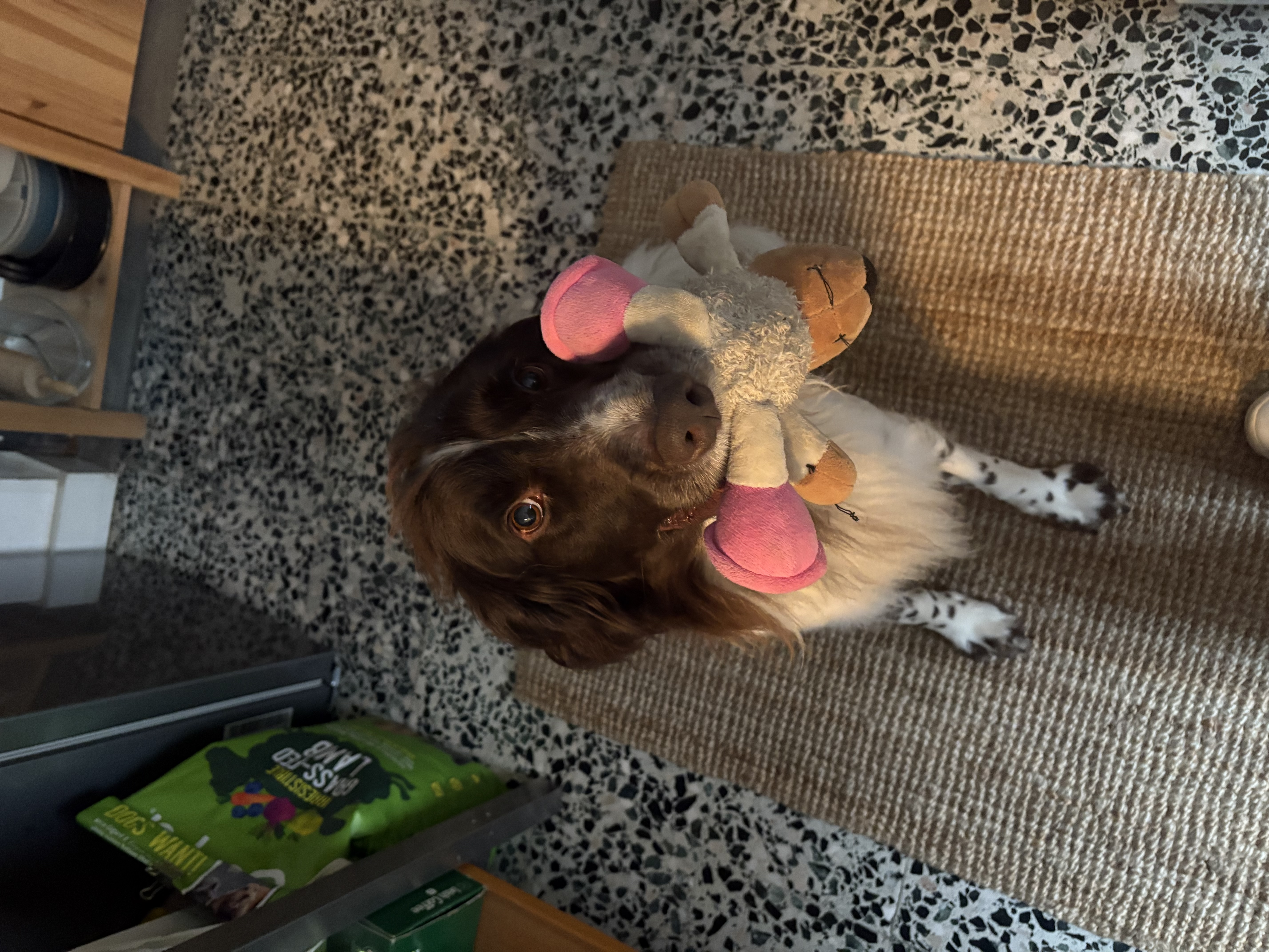 image-6