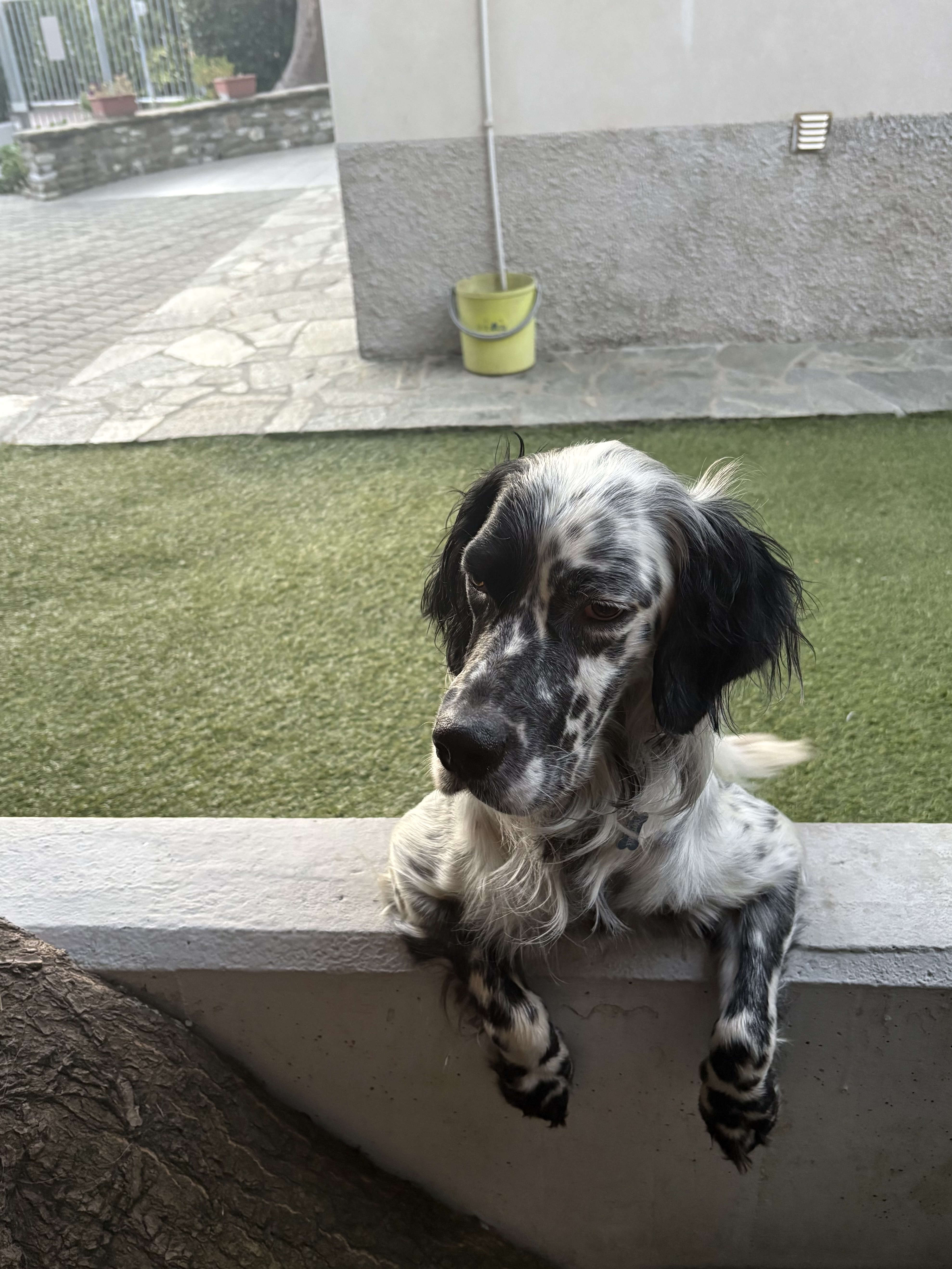 image-5