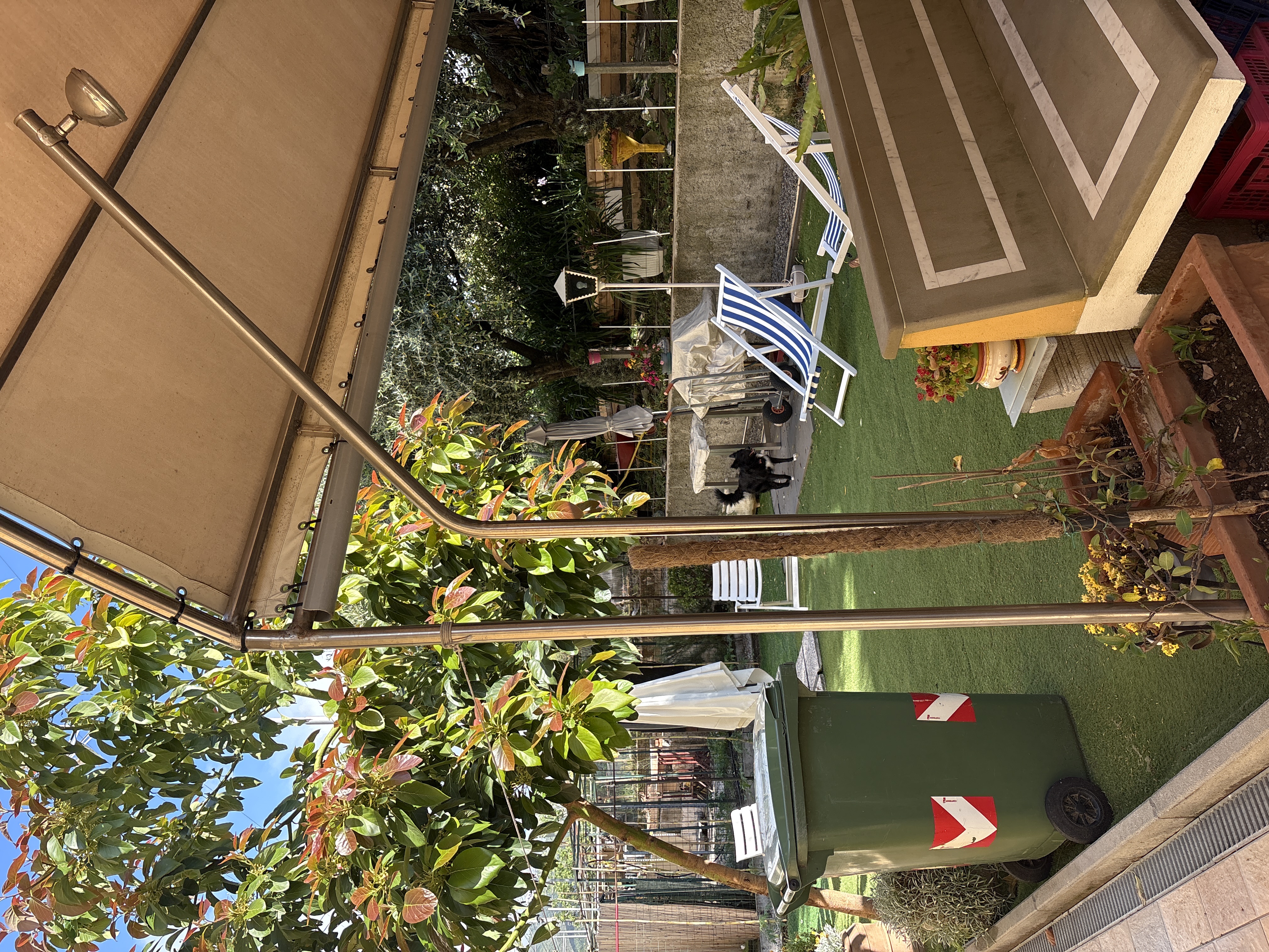 image-18