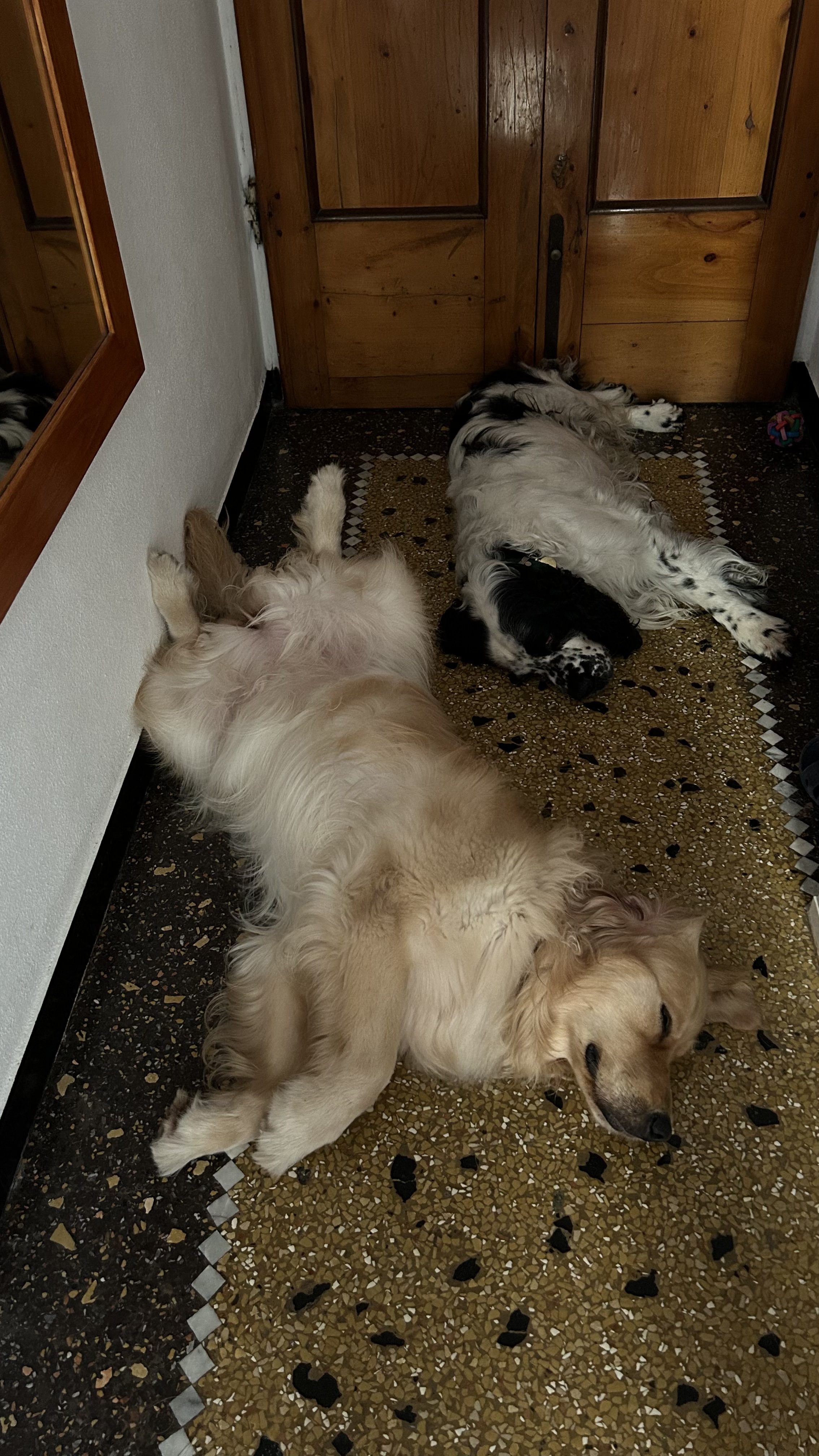 image-7