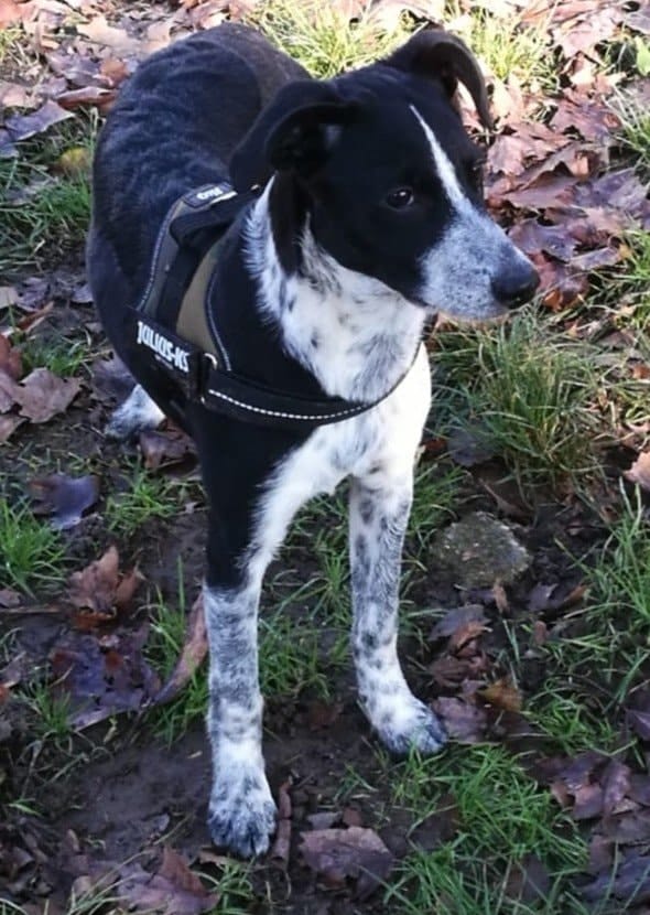 image-4