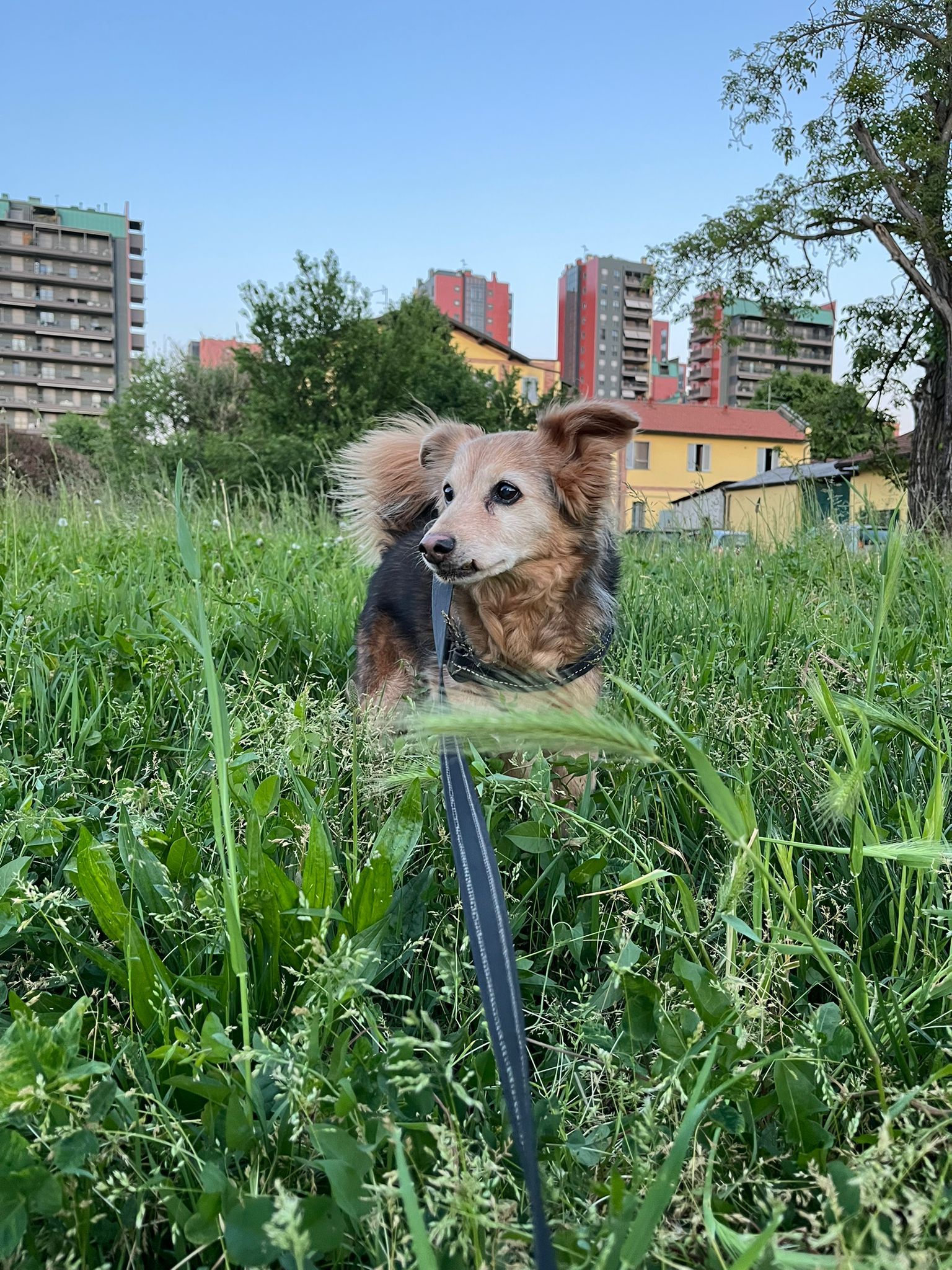 image-9