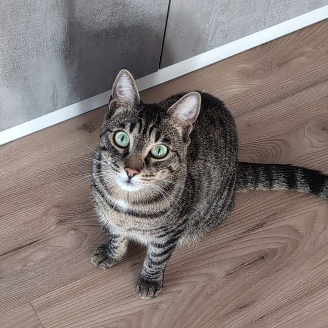 Logan