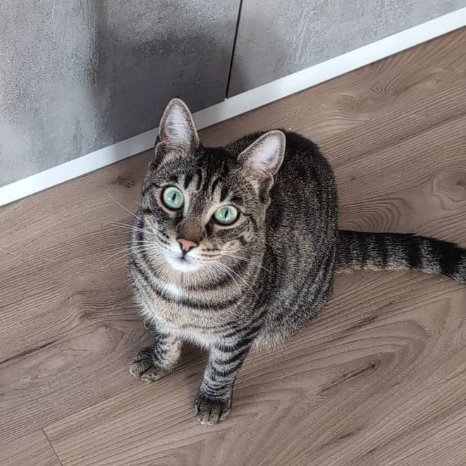 Logan