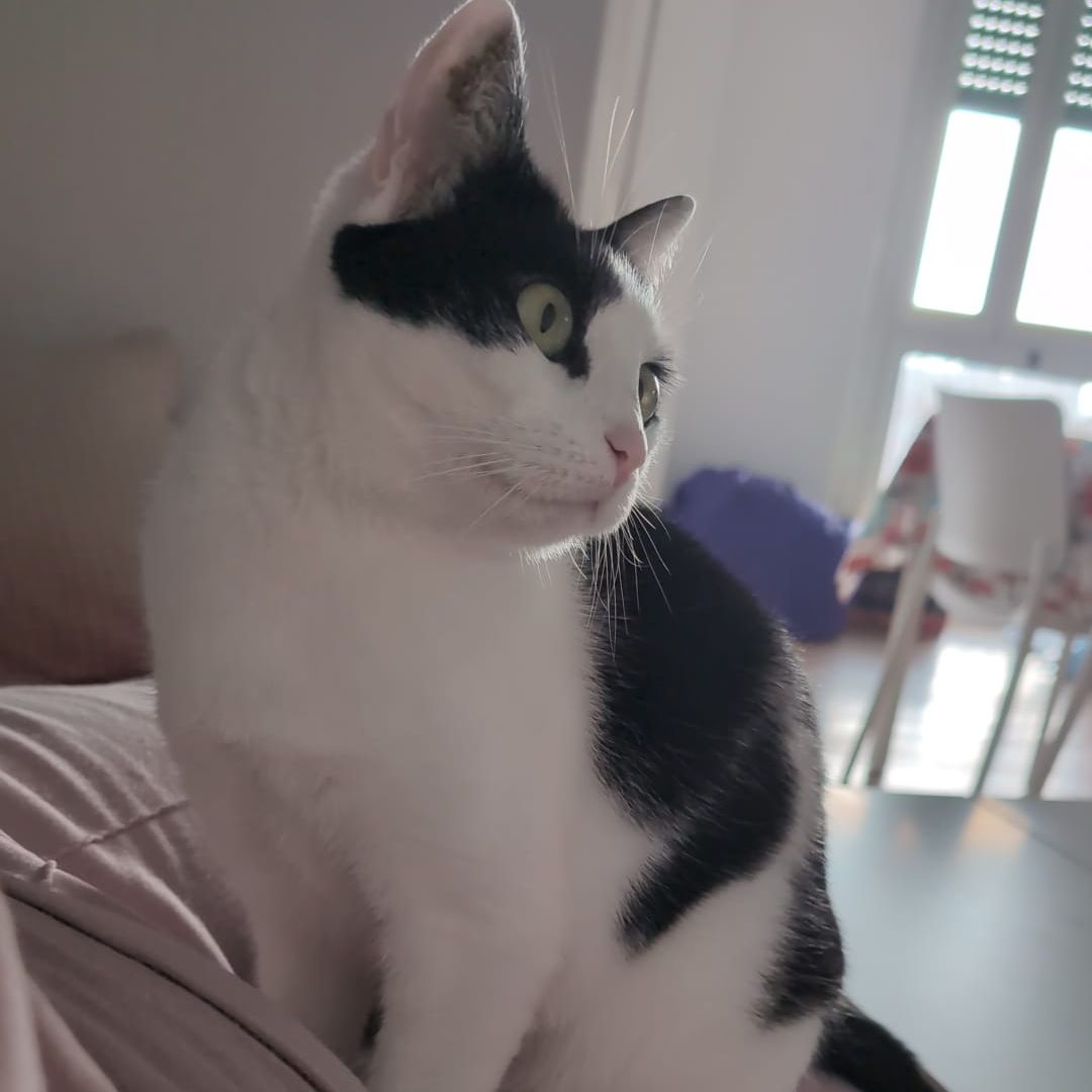 Hela