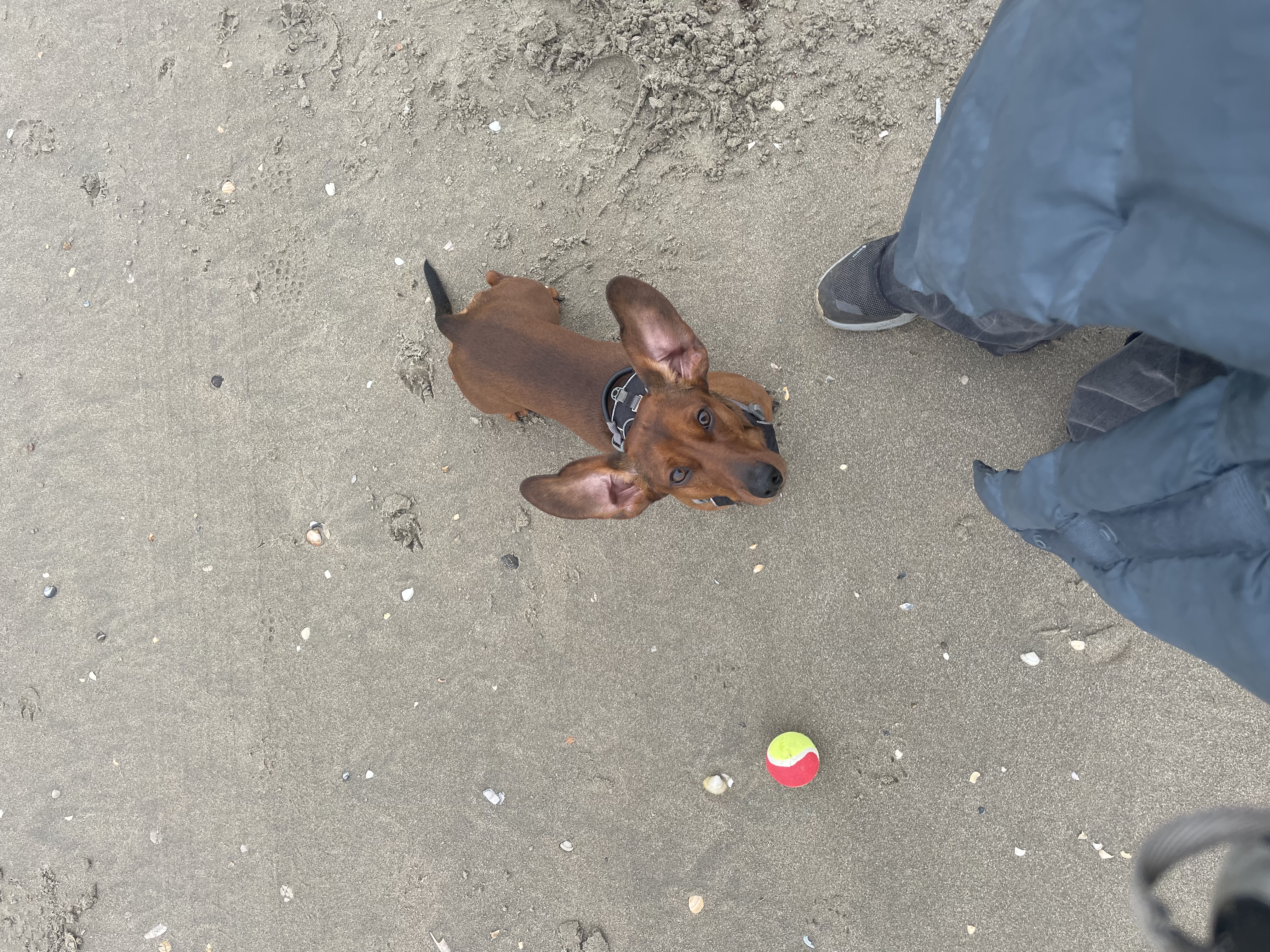 image-9