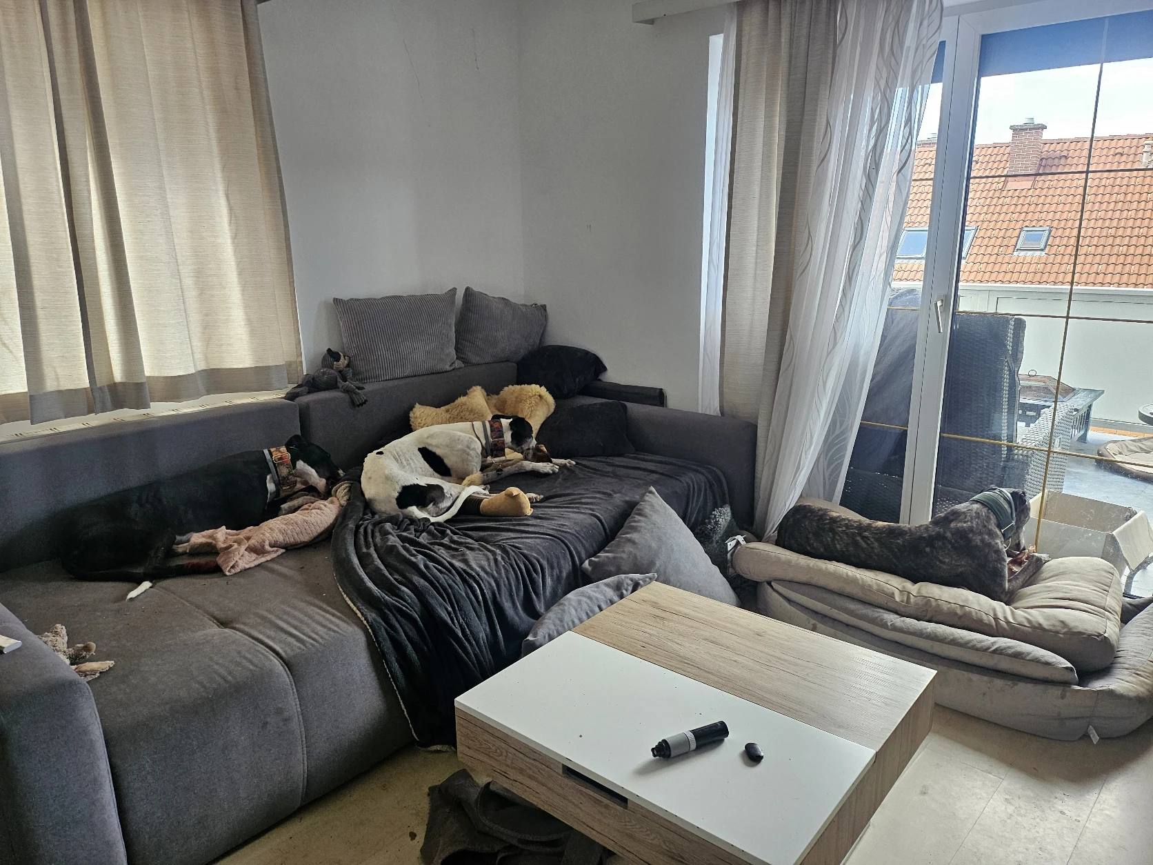 image-19