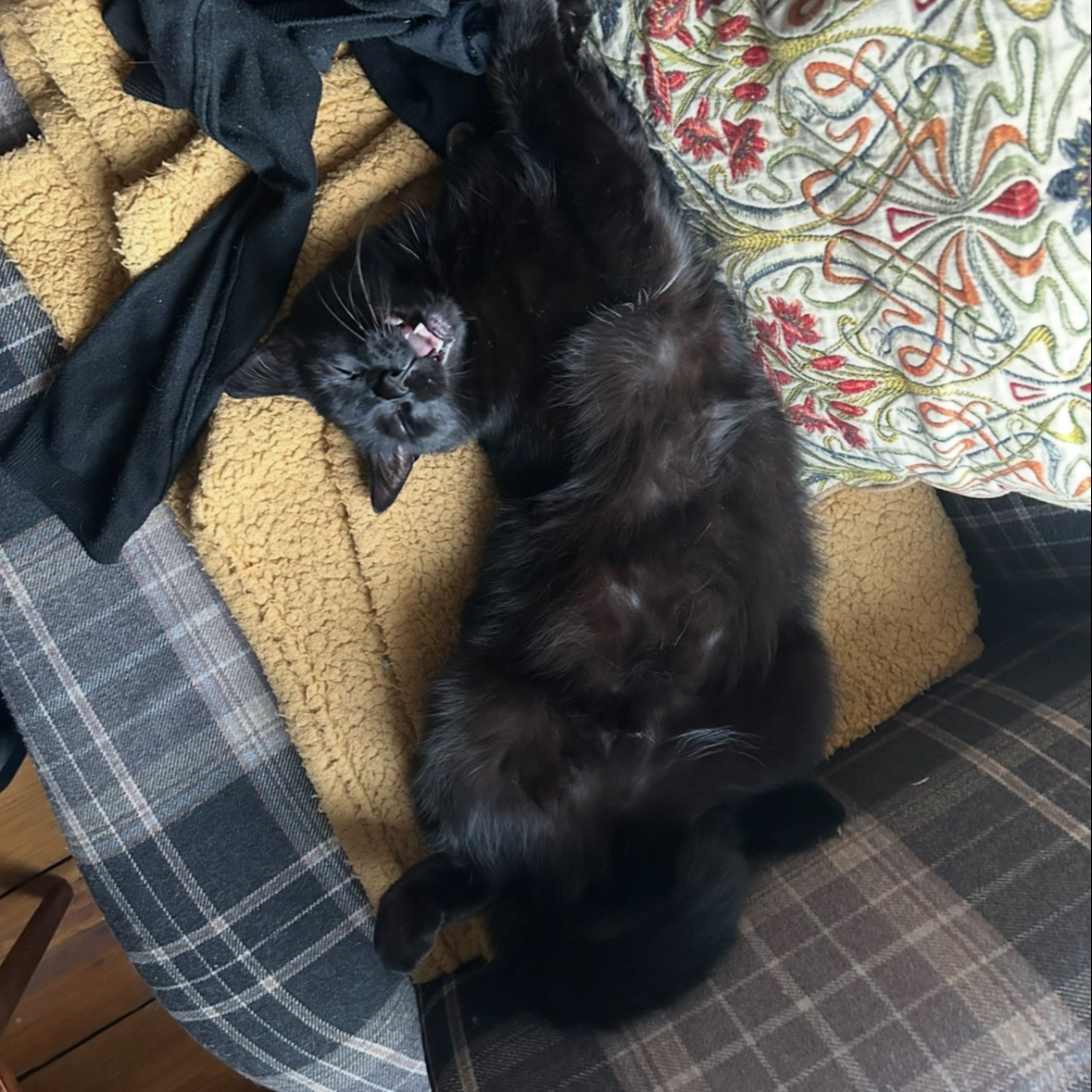 Bramble