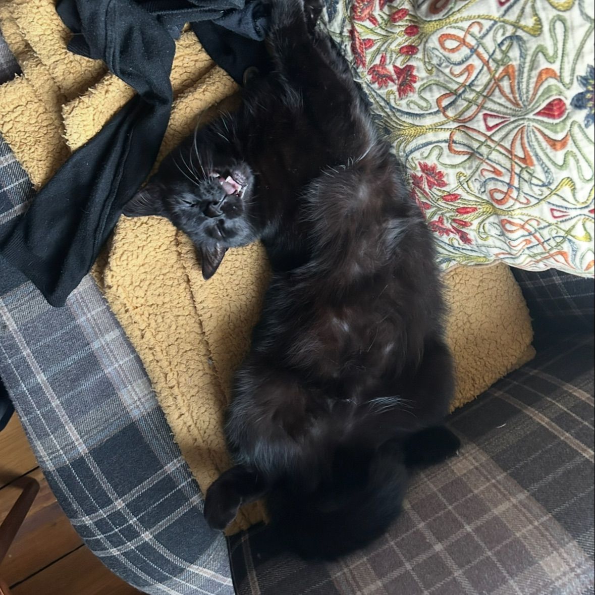Bramble