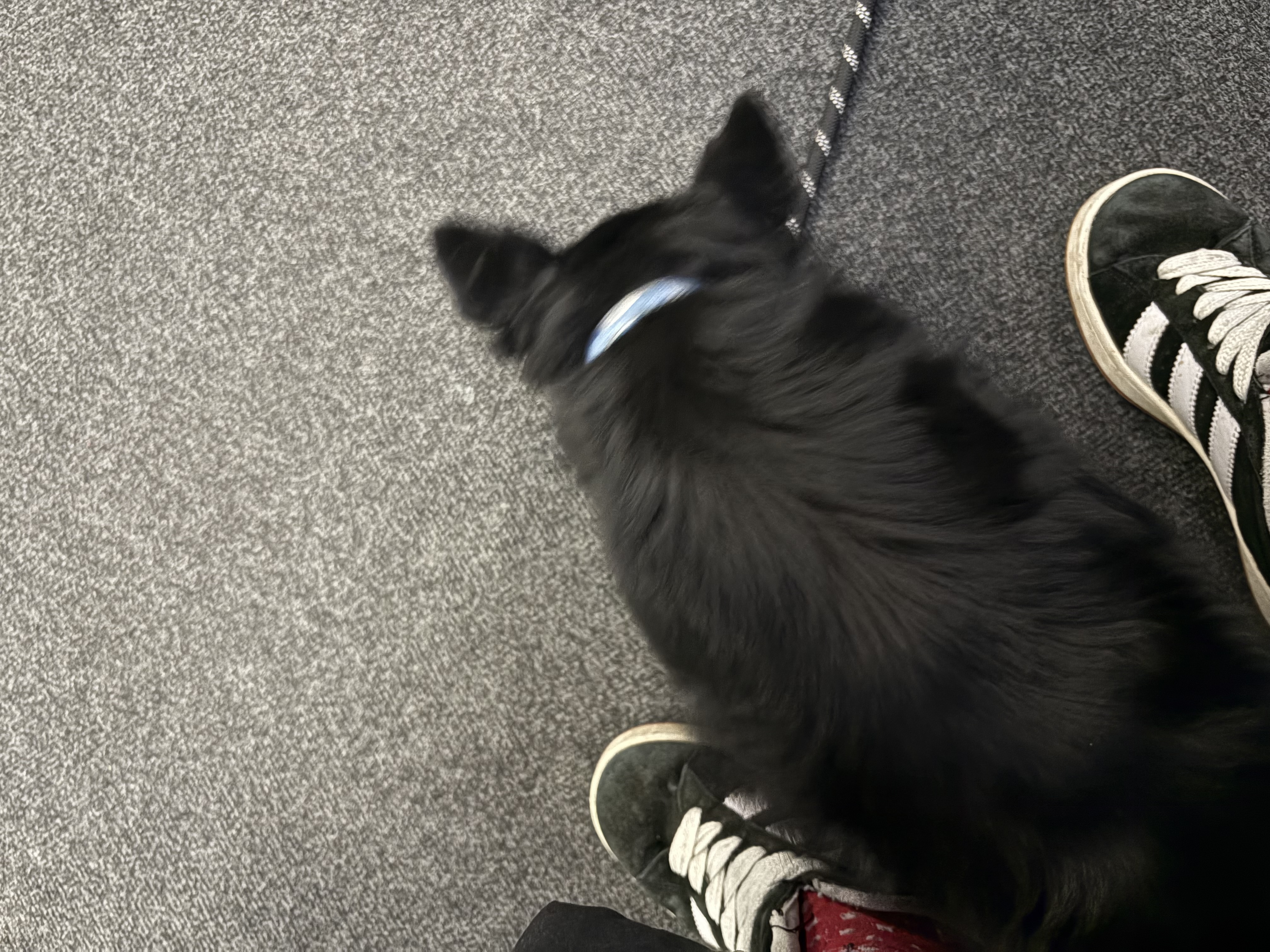 image-6