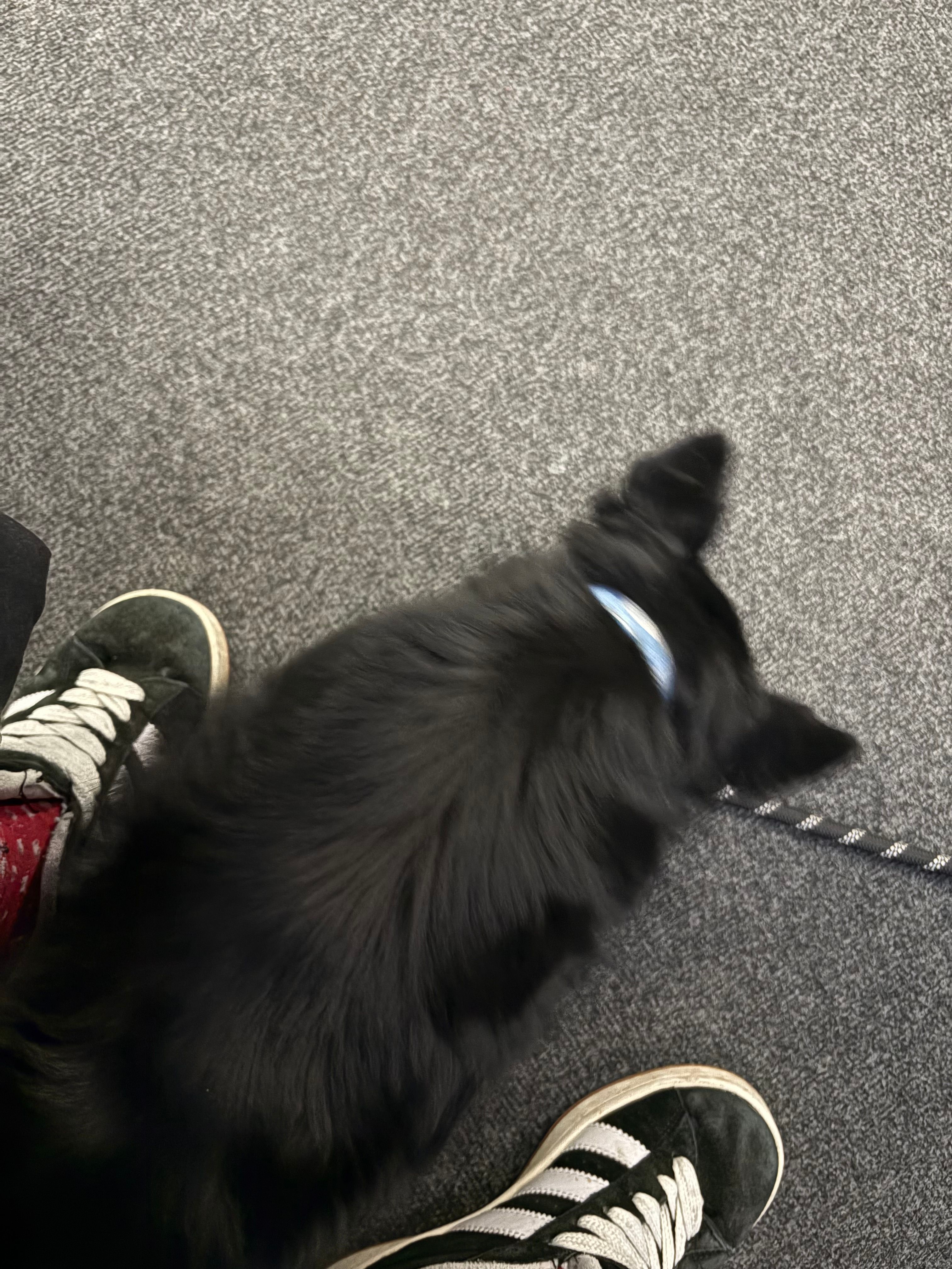 image-6