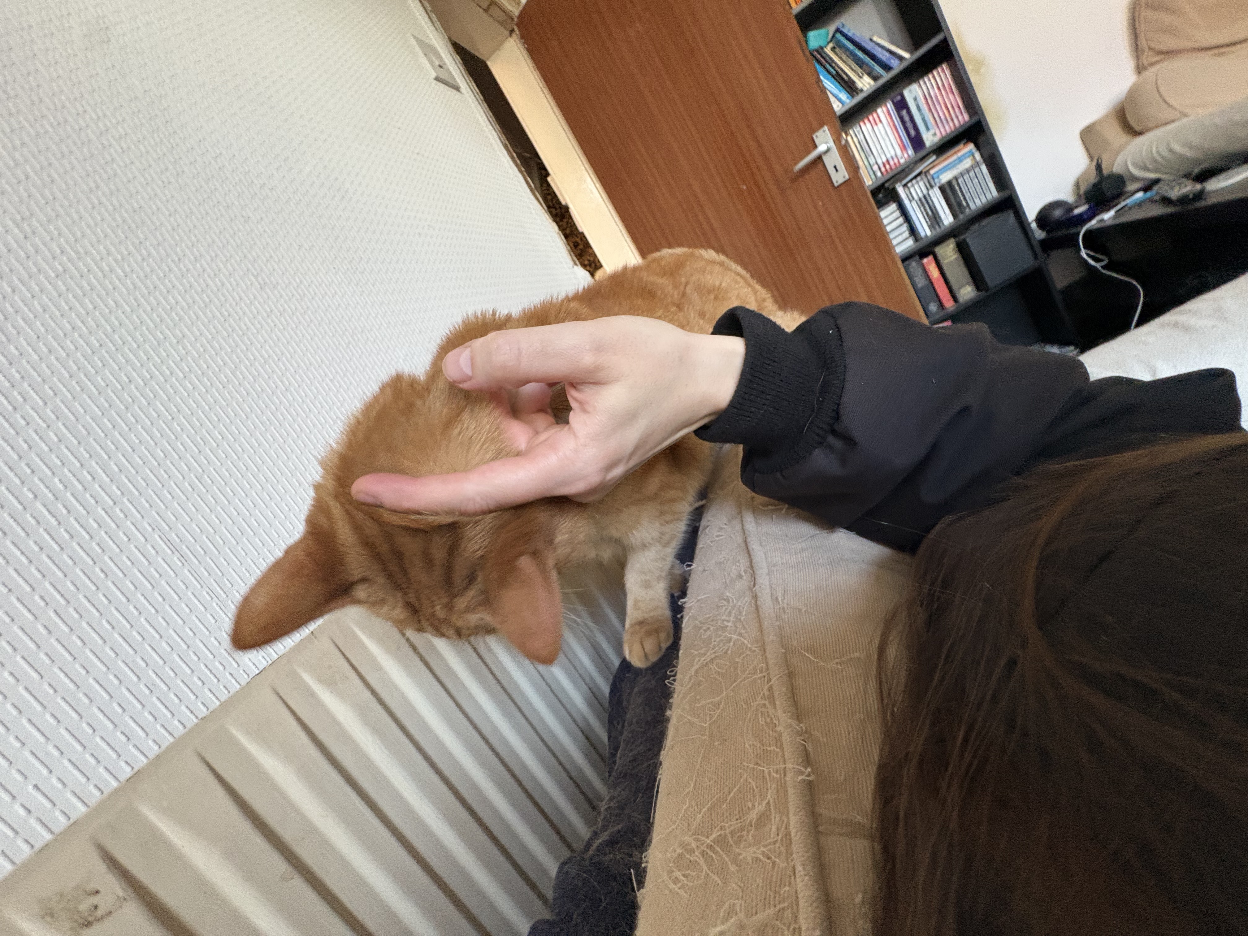 image-8