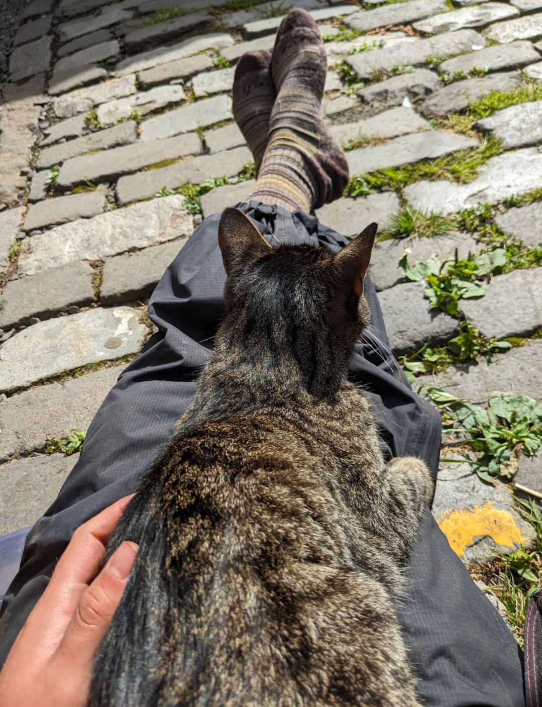 image-6