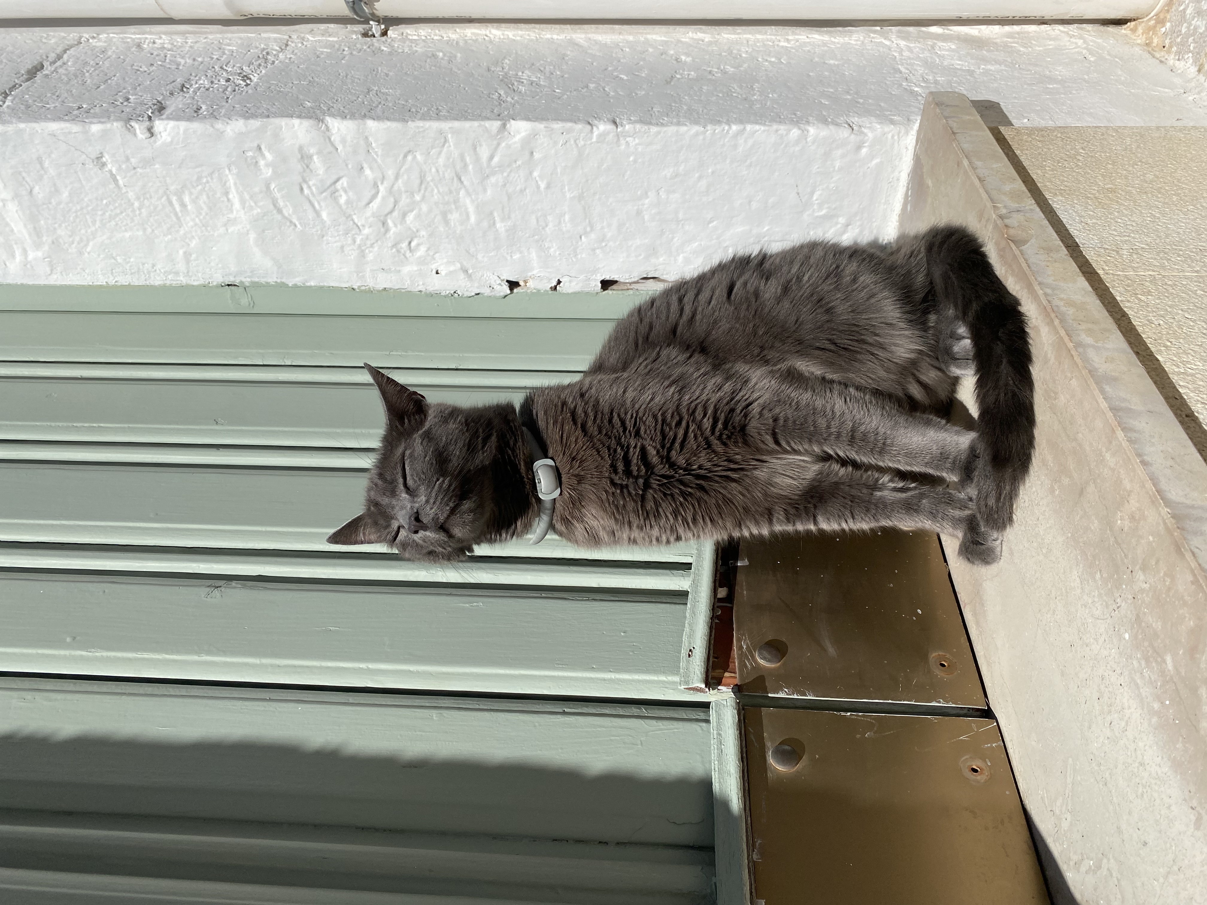 image-13