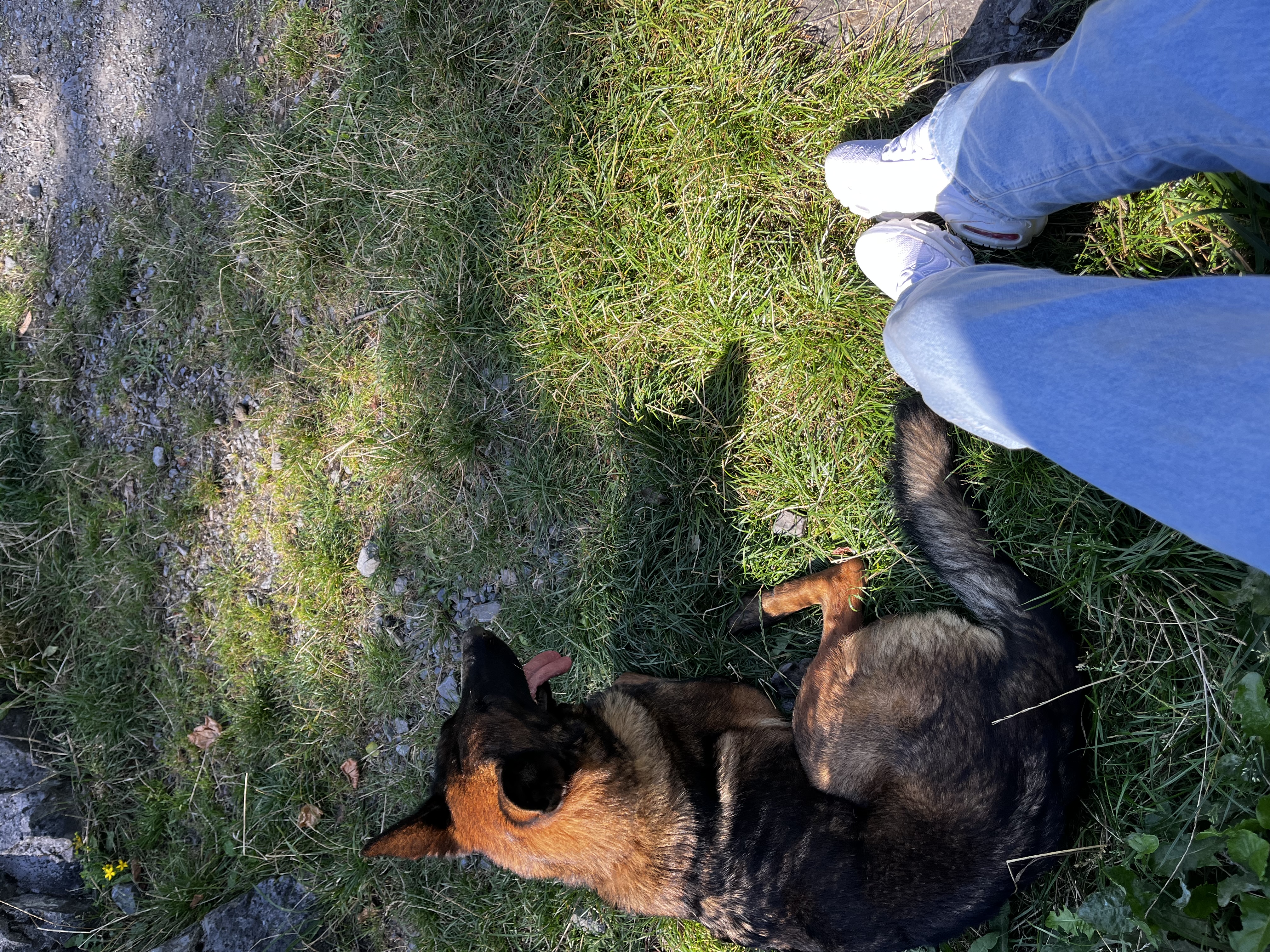 image-10