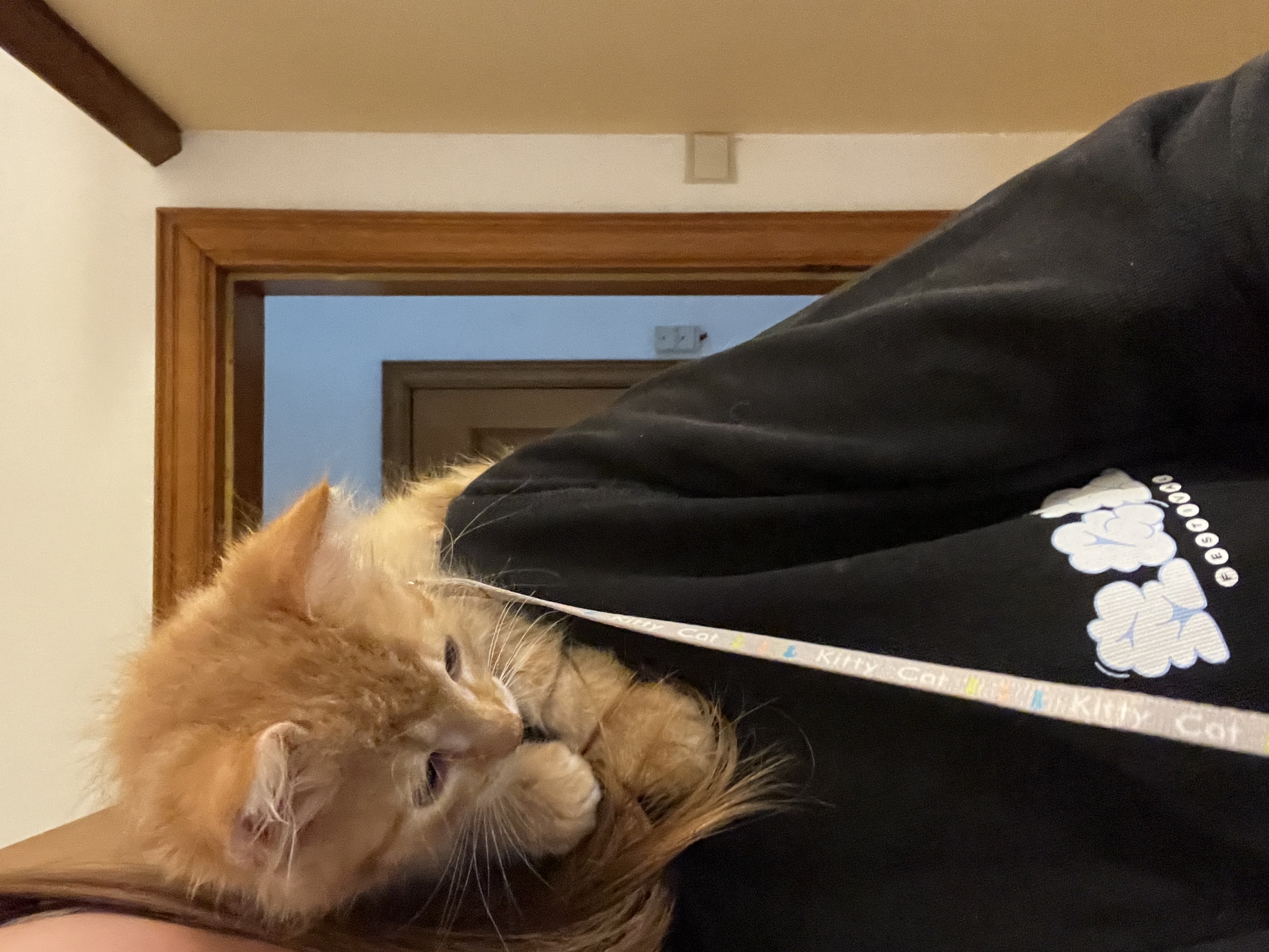 image-6