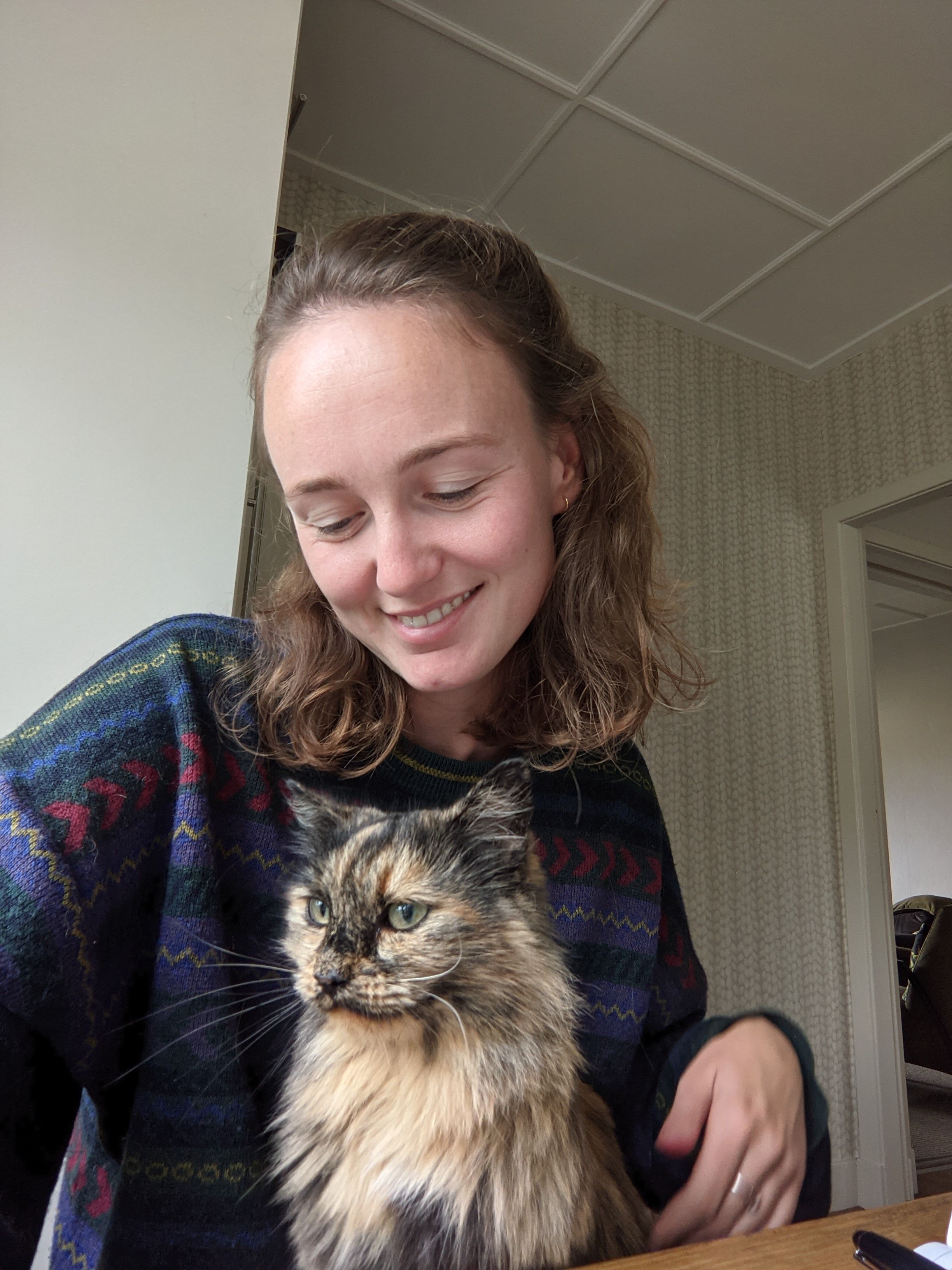 image-8