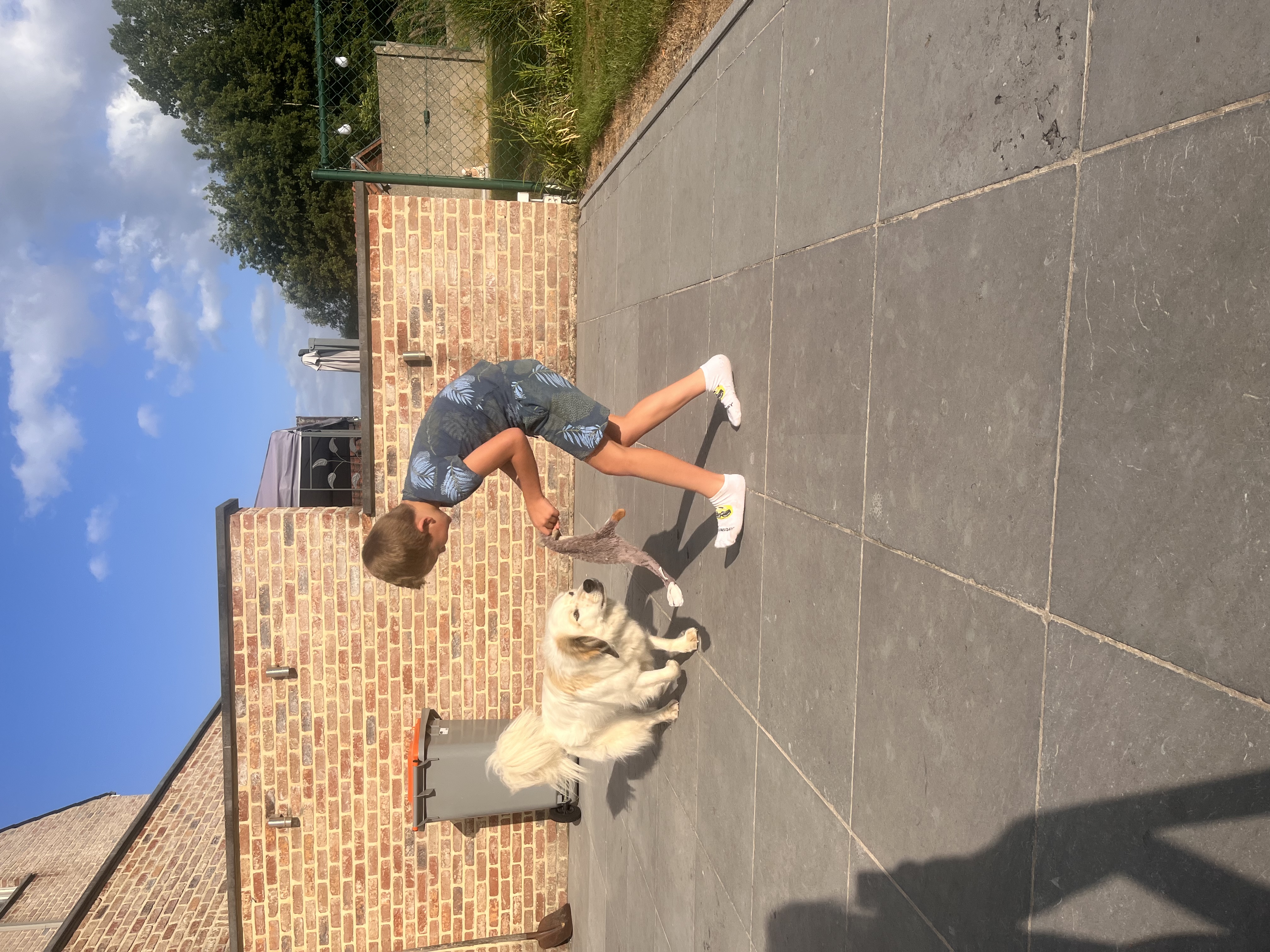 image-4