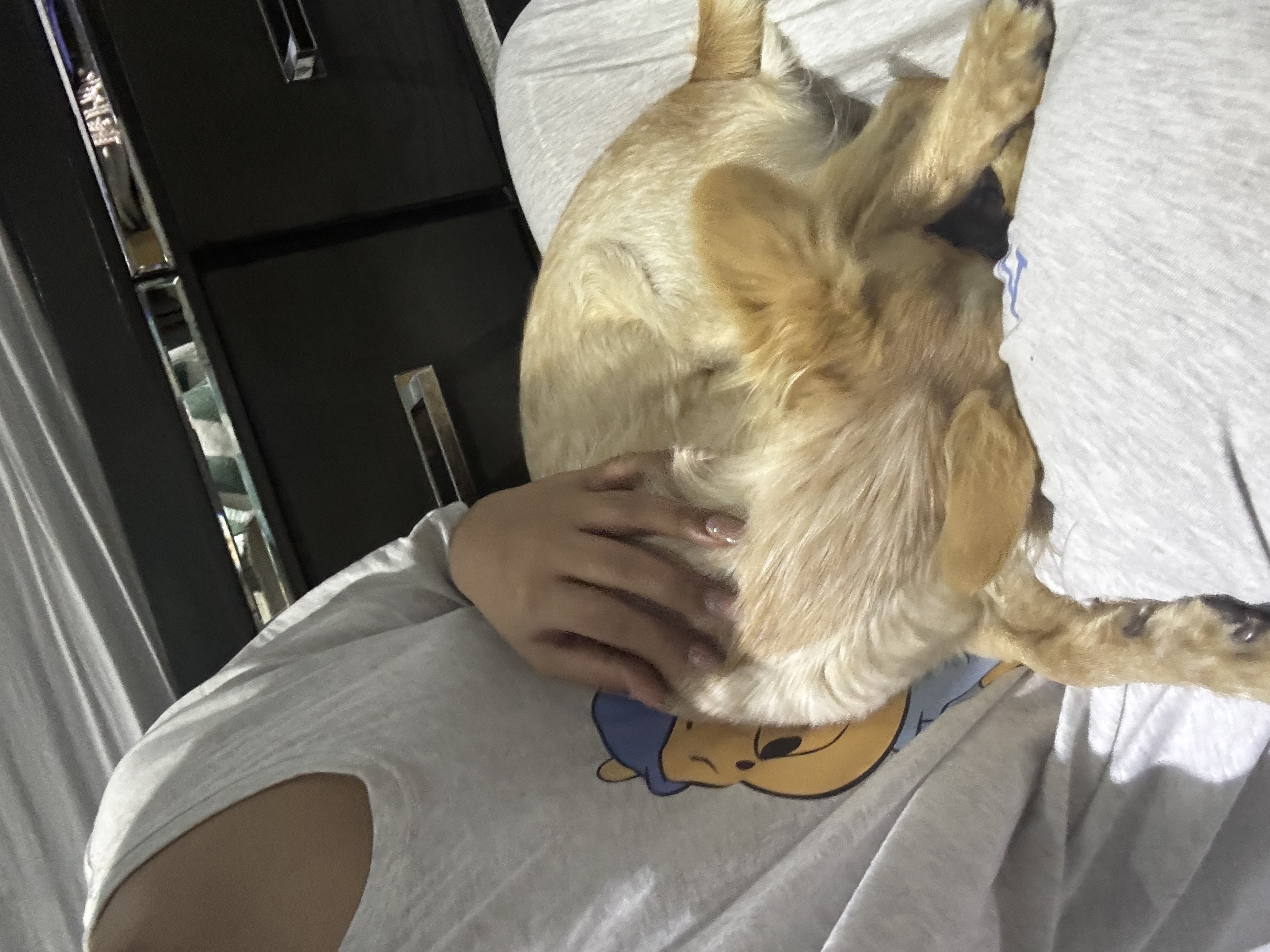 image-8