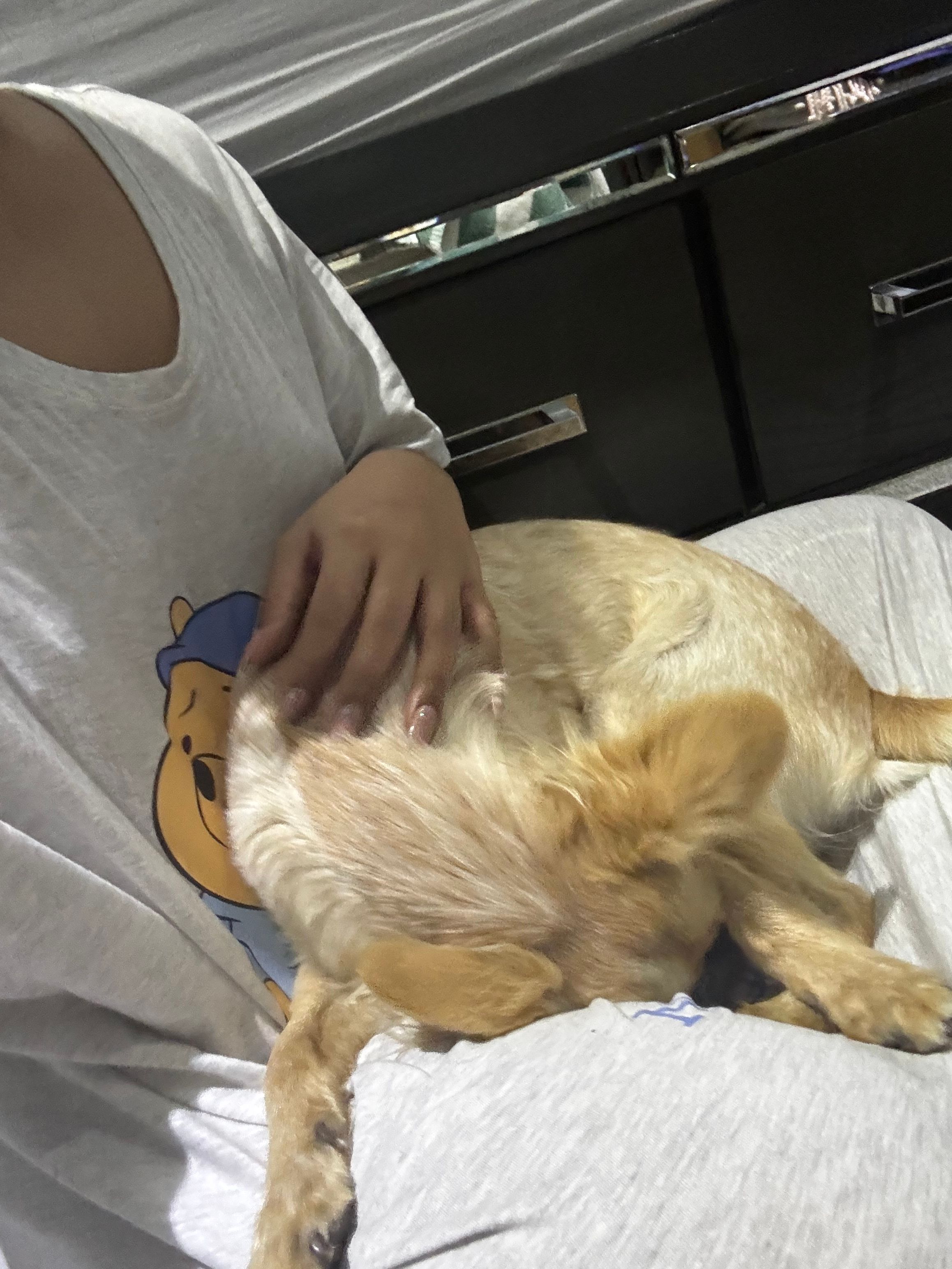 image-8