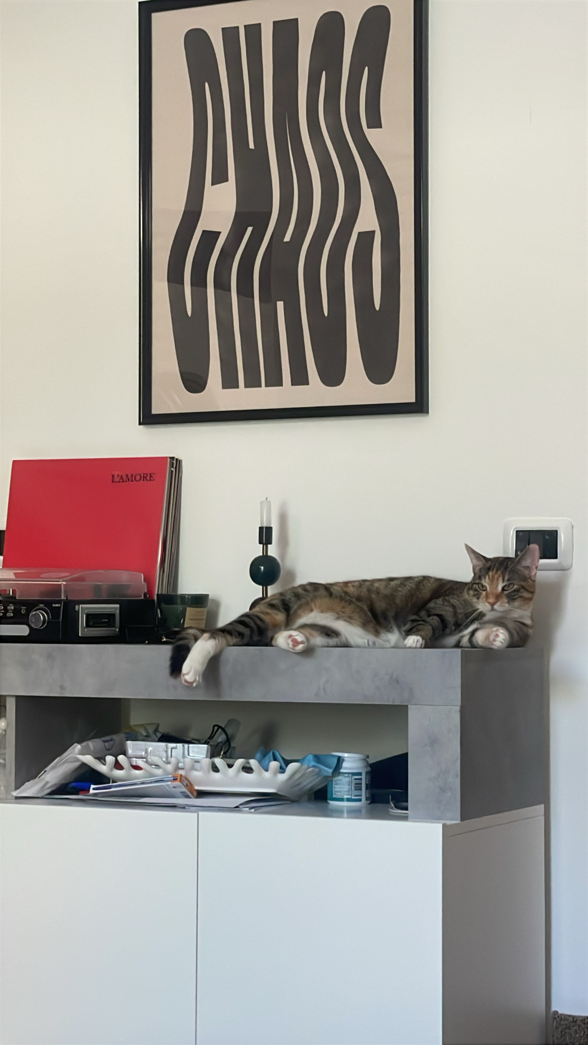 image-5