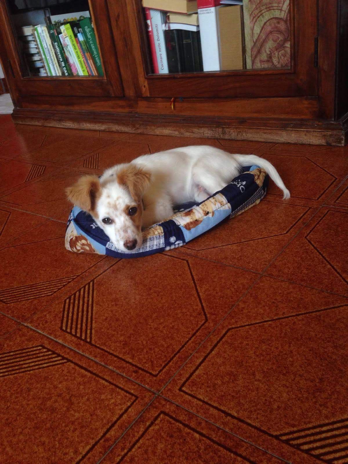image-9